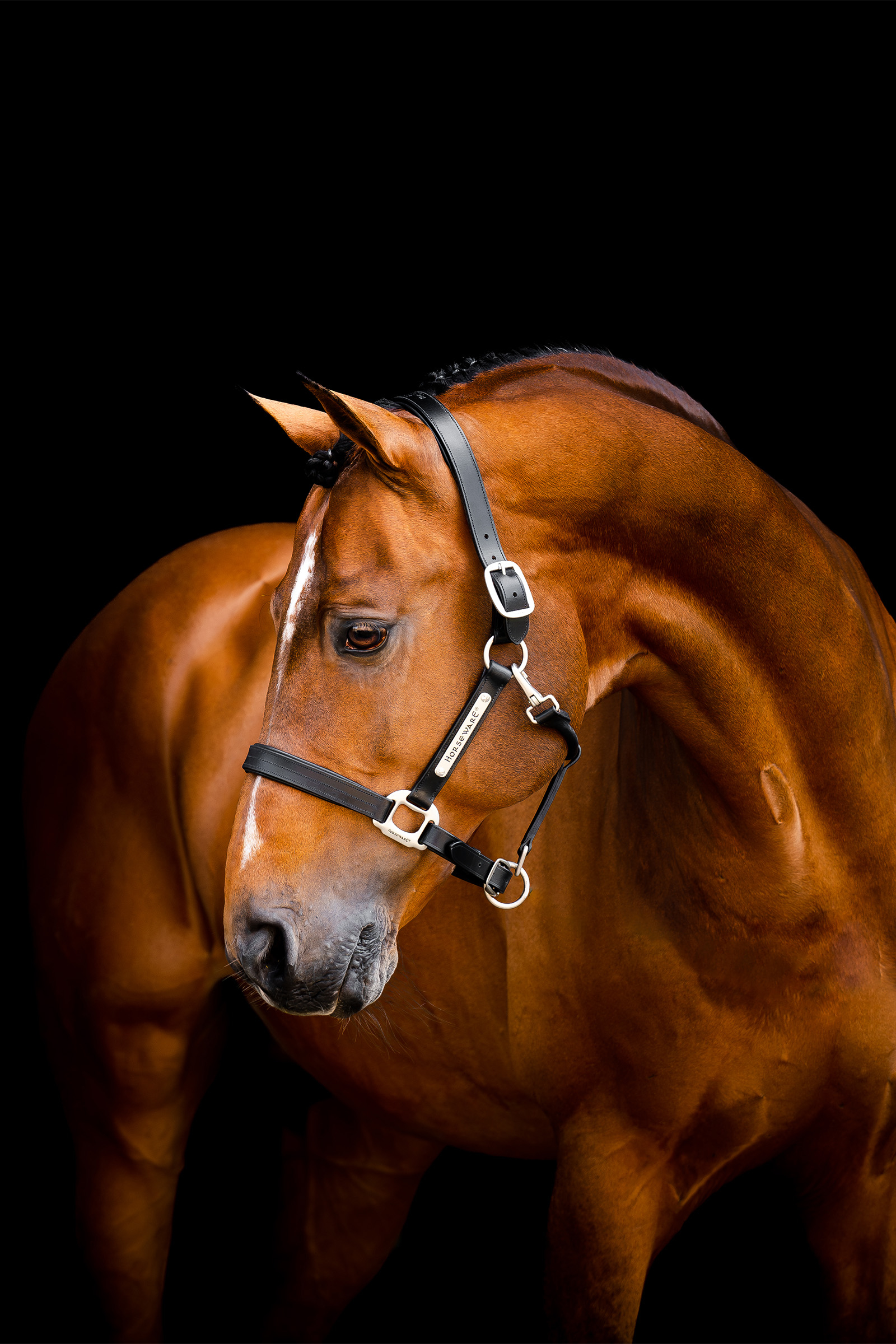 Horseware Signature nahkainen halter