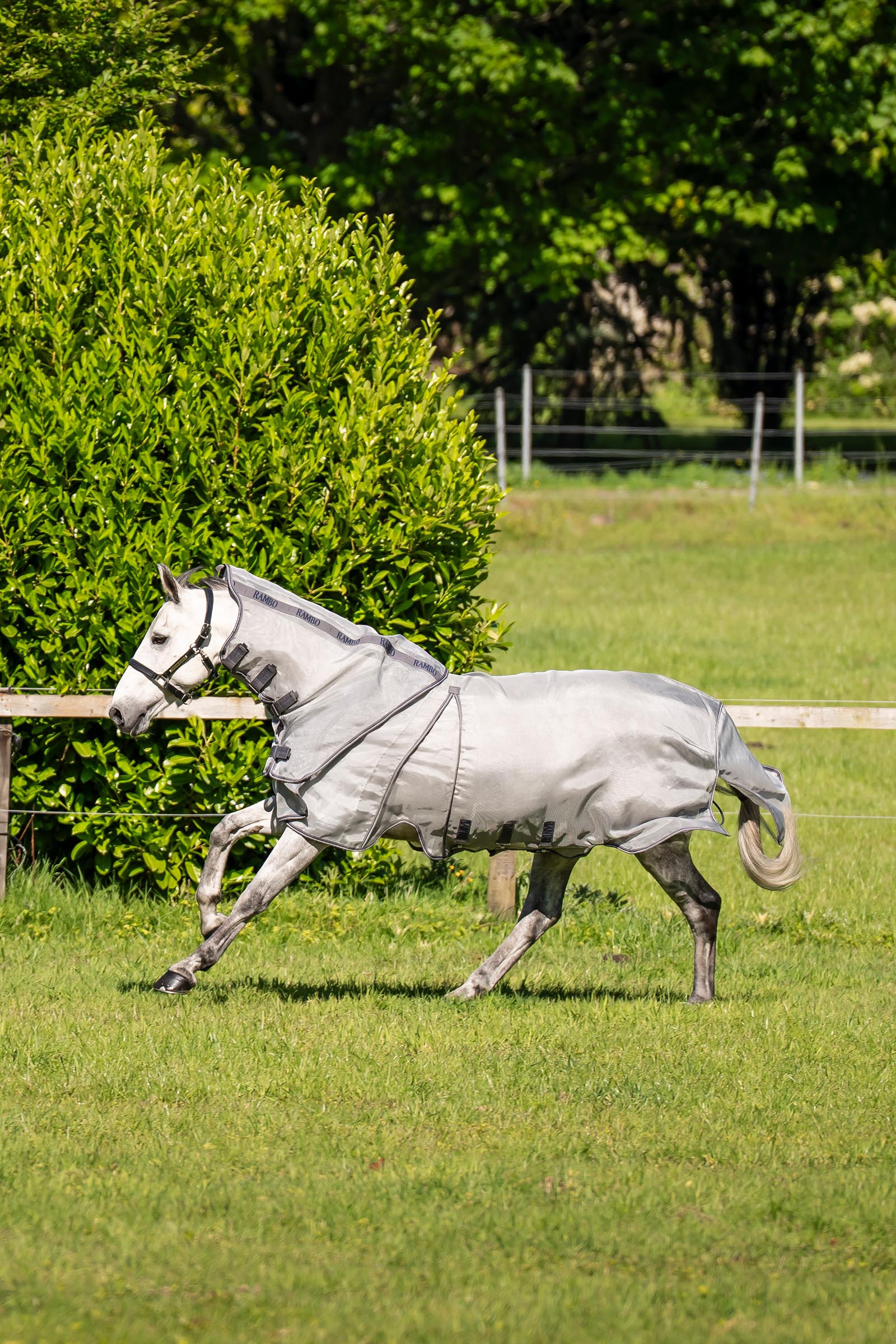 Horseware Rambo Optimo Protector Plus loimi