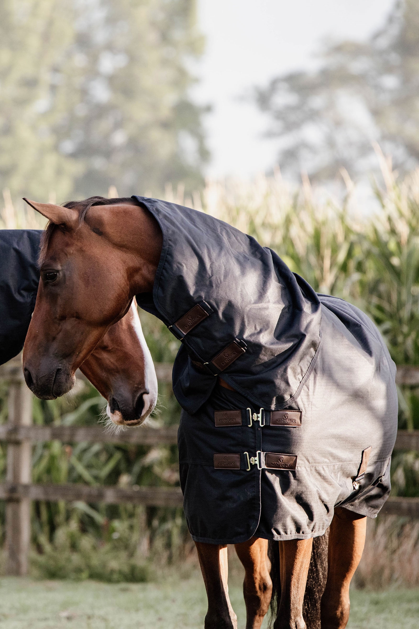 Kentucky Horsewear All Weather Waterproof Classic ulkoloimi, 150 g