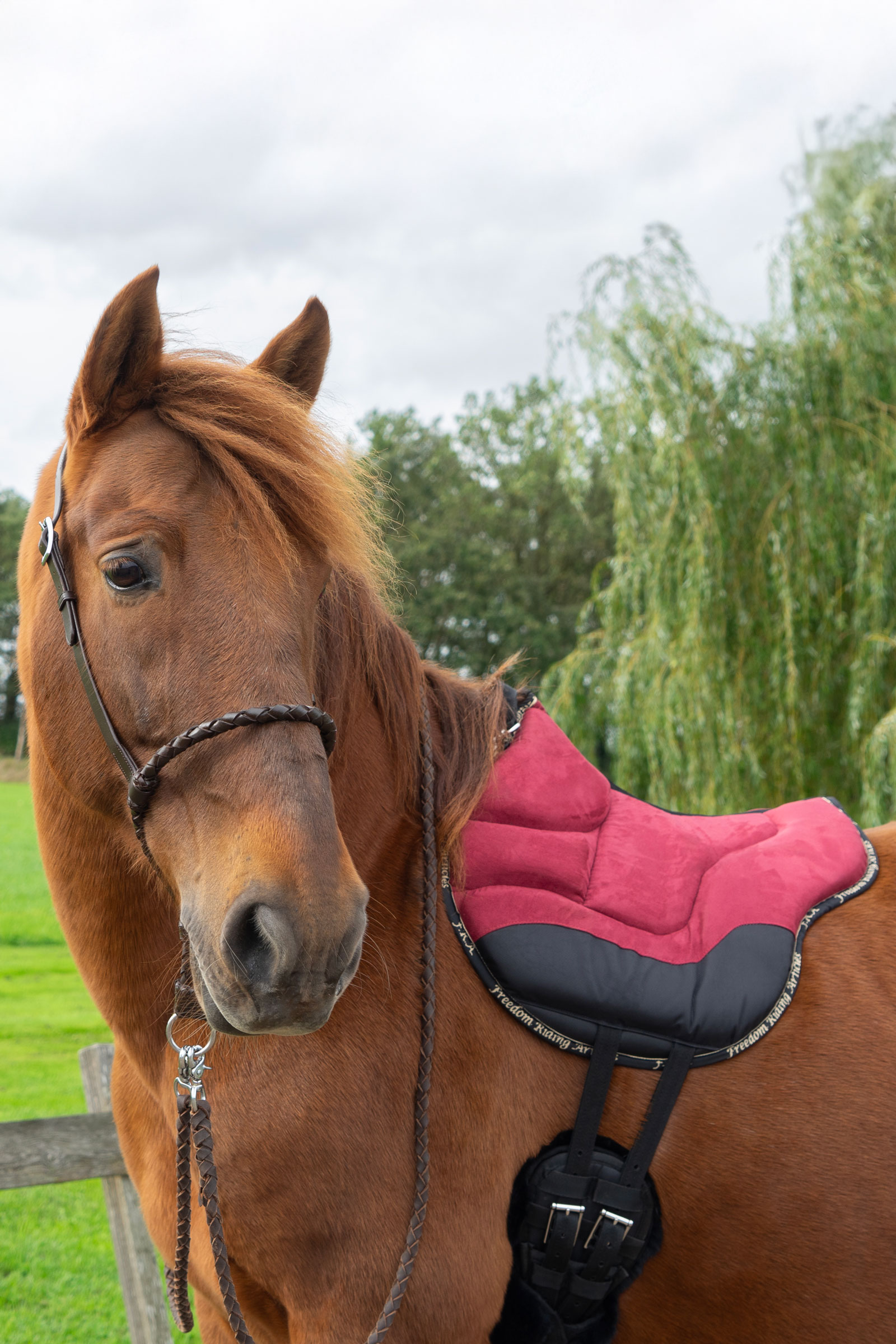 F.R.A. Freedom Riding Articles Dardo perusratsastuspad  