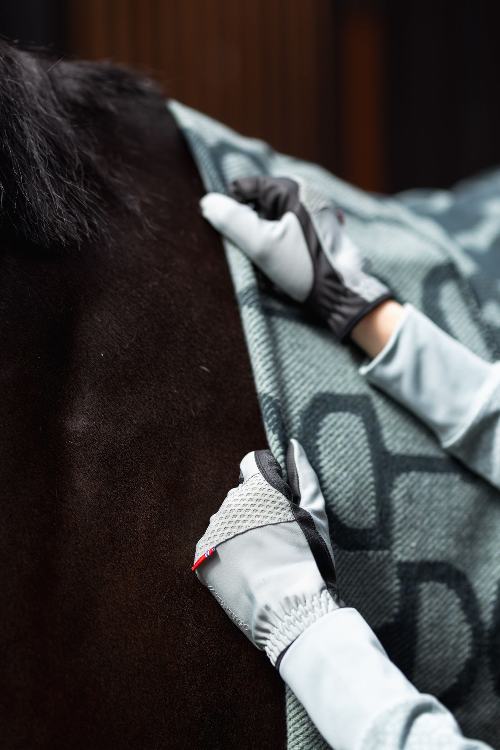 B Vertigo Renee All Season ratsastushanskat