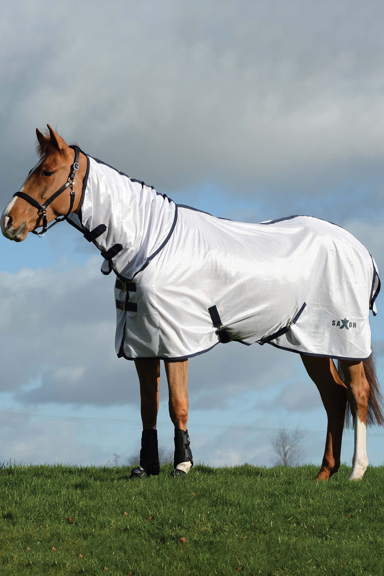 Saxon Mesh Combo hy&ouml;nteisloimi kiinte&auml;ll&auml; kaulakappaleella