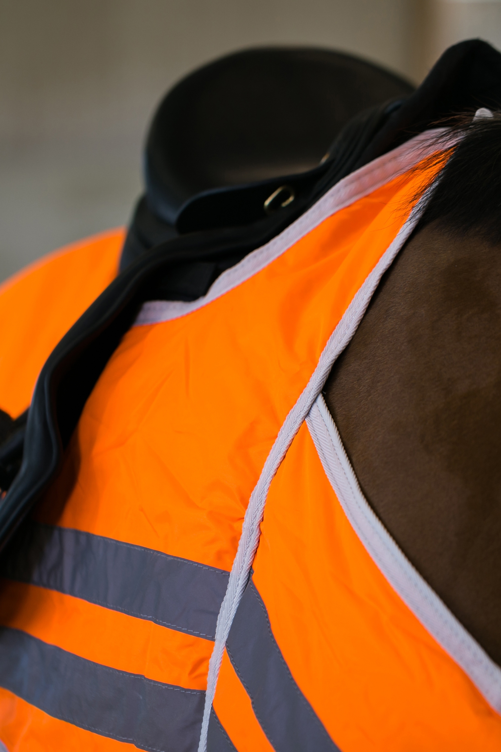 Horze heijastava ratsastusloimi