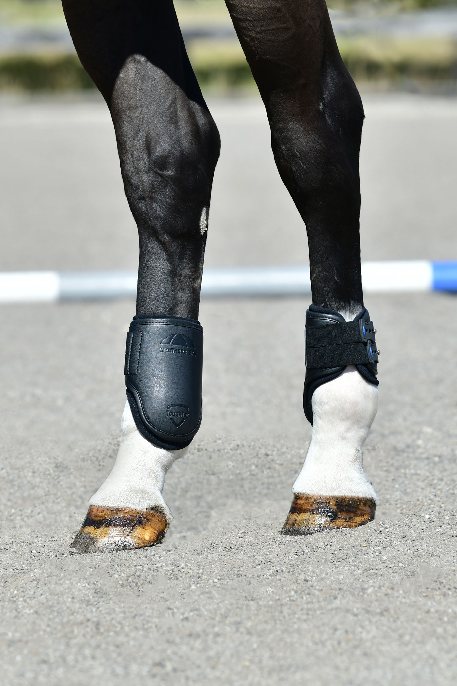 Weatherbeeta Tough-Tec Pro Takajalan gamashit