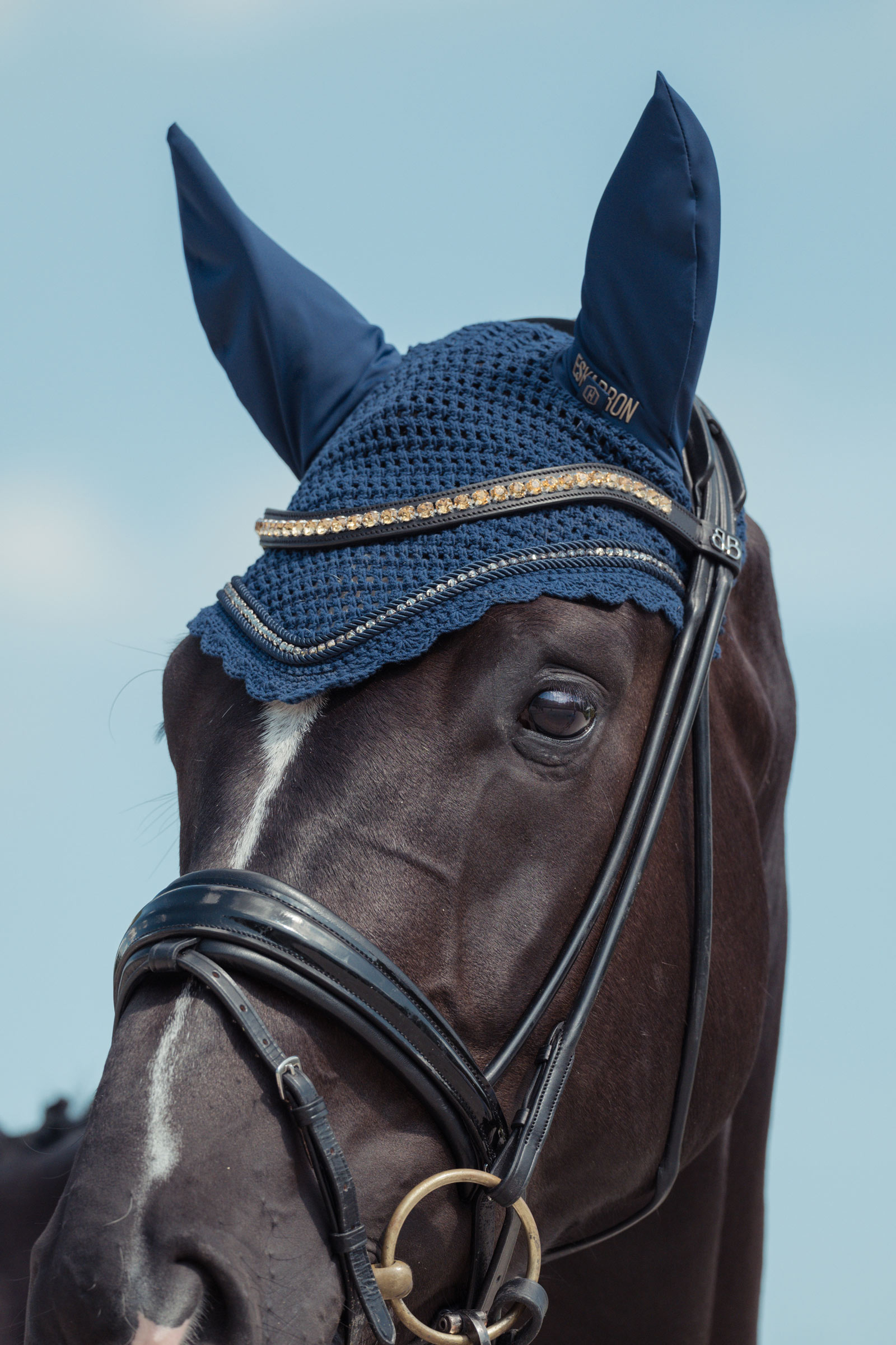 Eskadron Heritage AW24 Crystal Korvahuppu