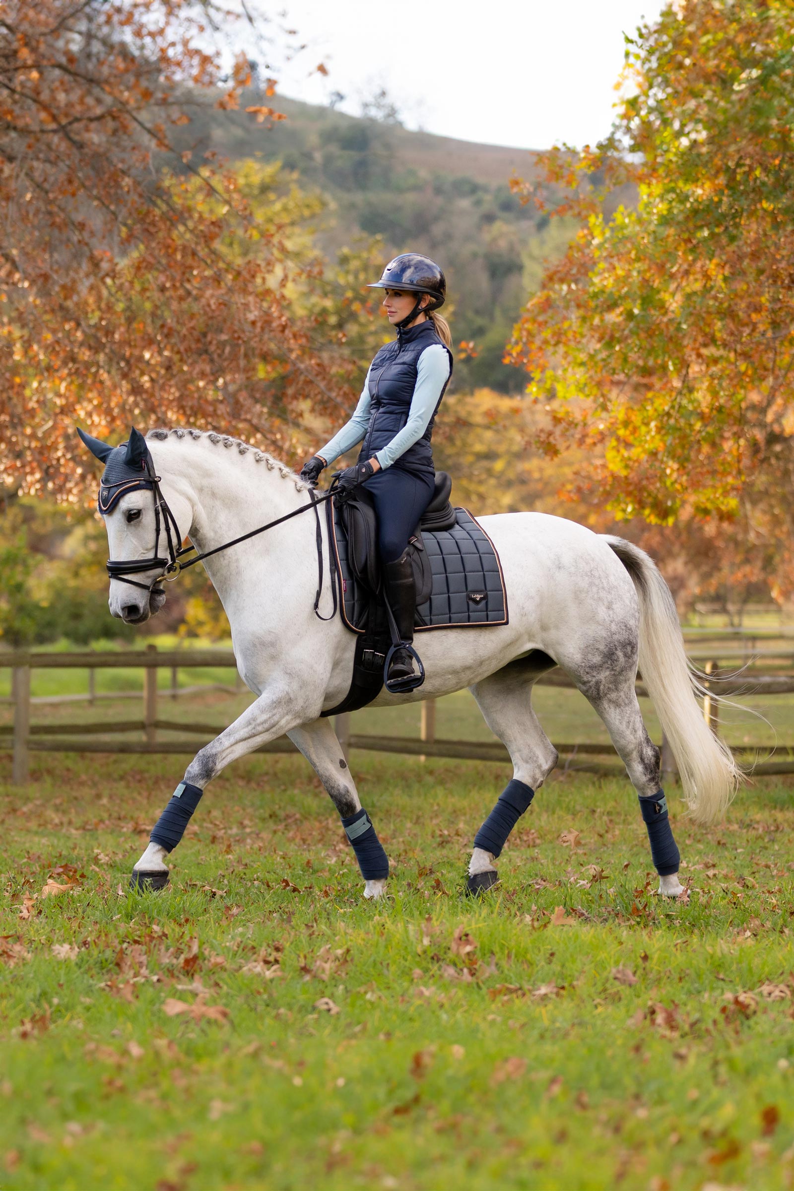 LeMieux Loire Classic Dressage Pads