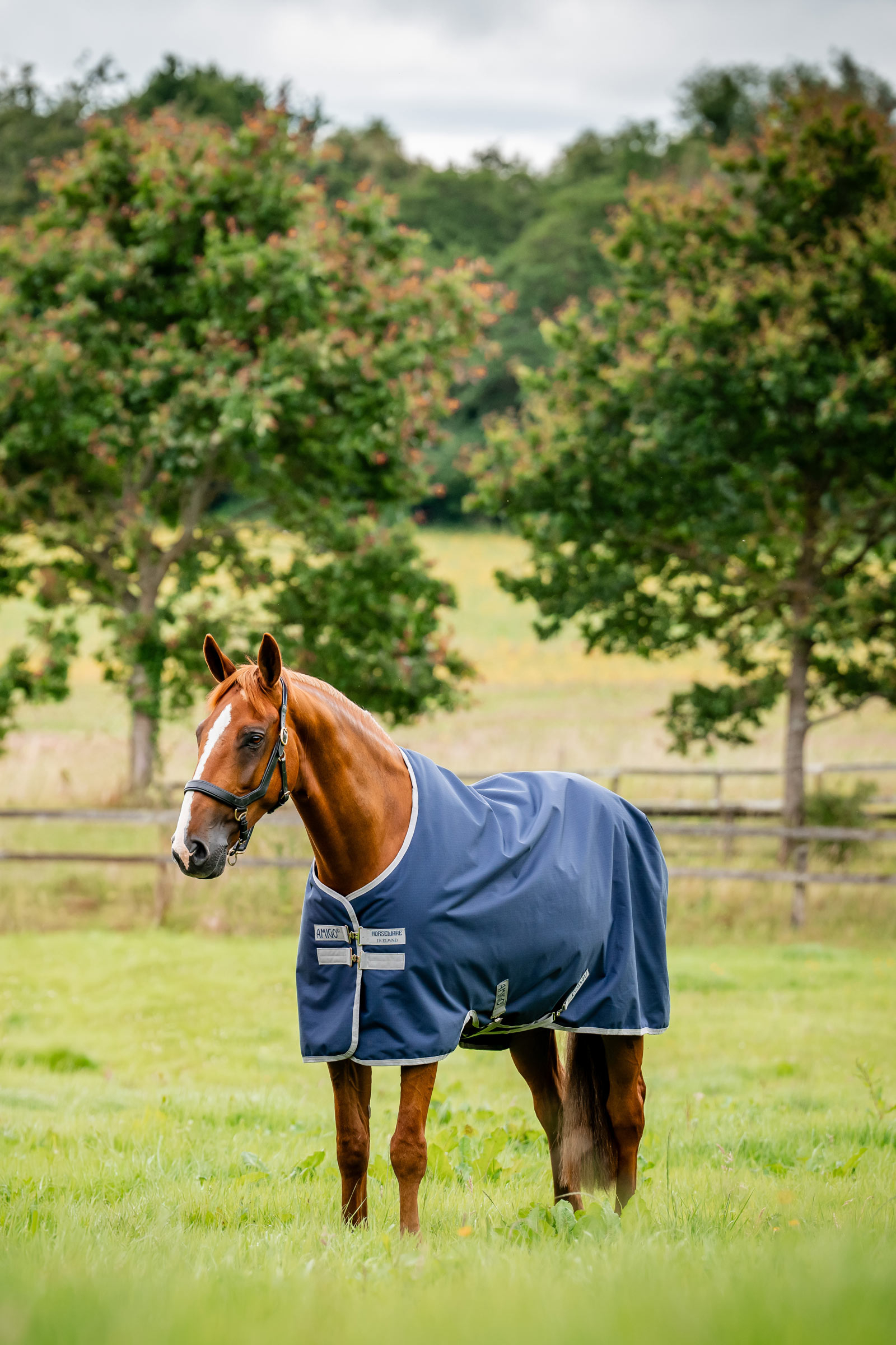 Witney Navy Horseware Amigo Ripstop Ulkoloimi 900D, 0g