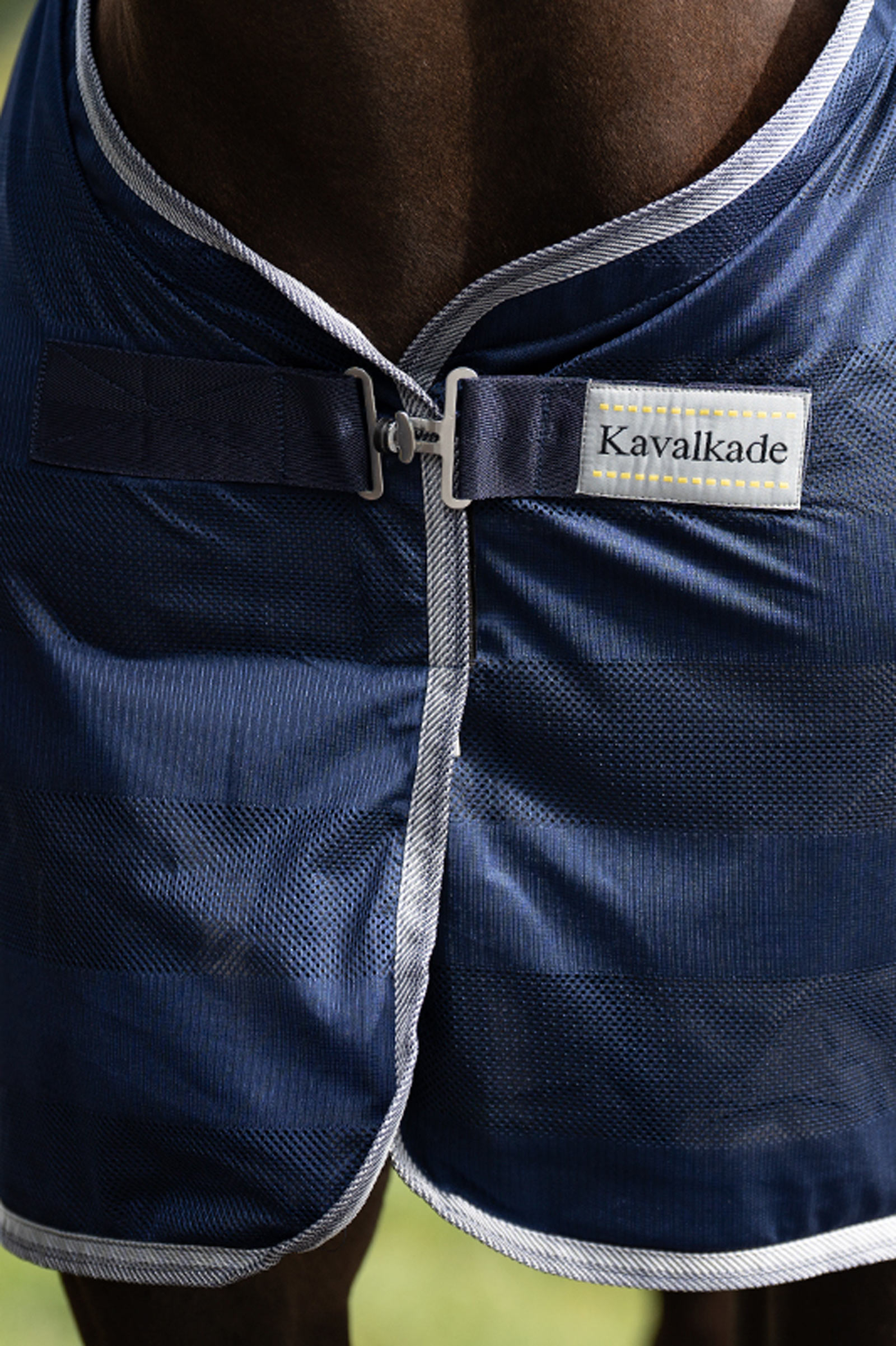 Kavalkade Stripe k&auml;rp&auml;sloimi