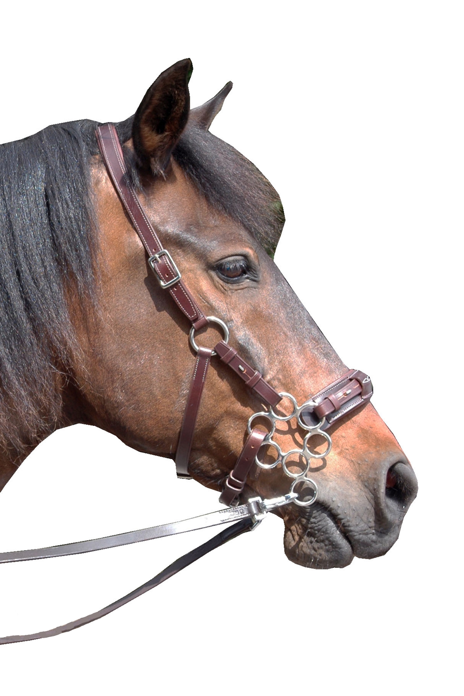 Dark Brown F.R.A. Freedom Riding Articles Aram Hackamore (System 2) nahkaa, leukahihnat, varsilla