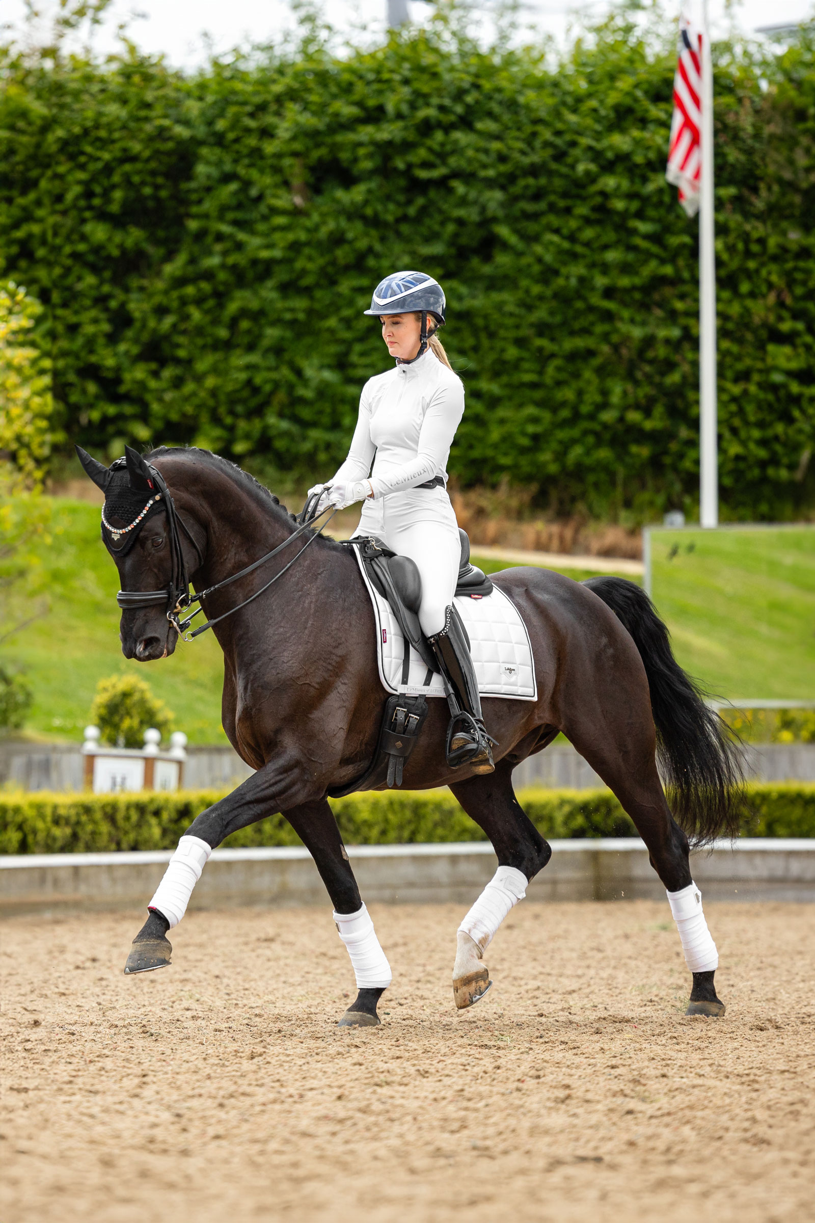 LeMieux Loire Classic Dressage Pads