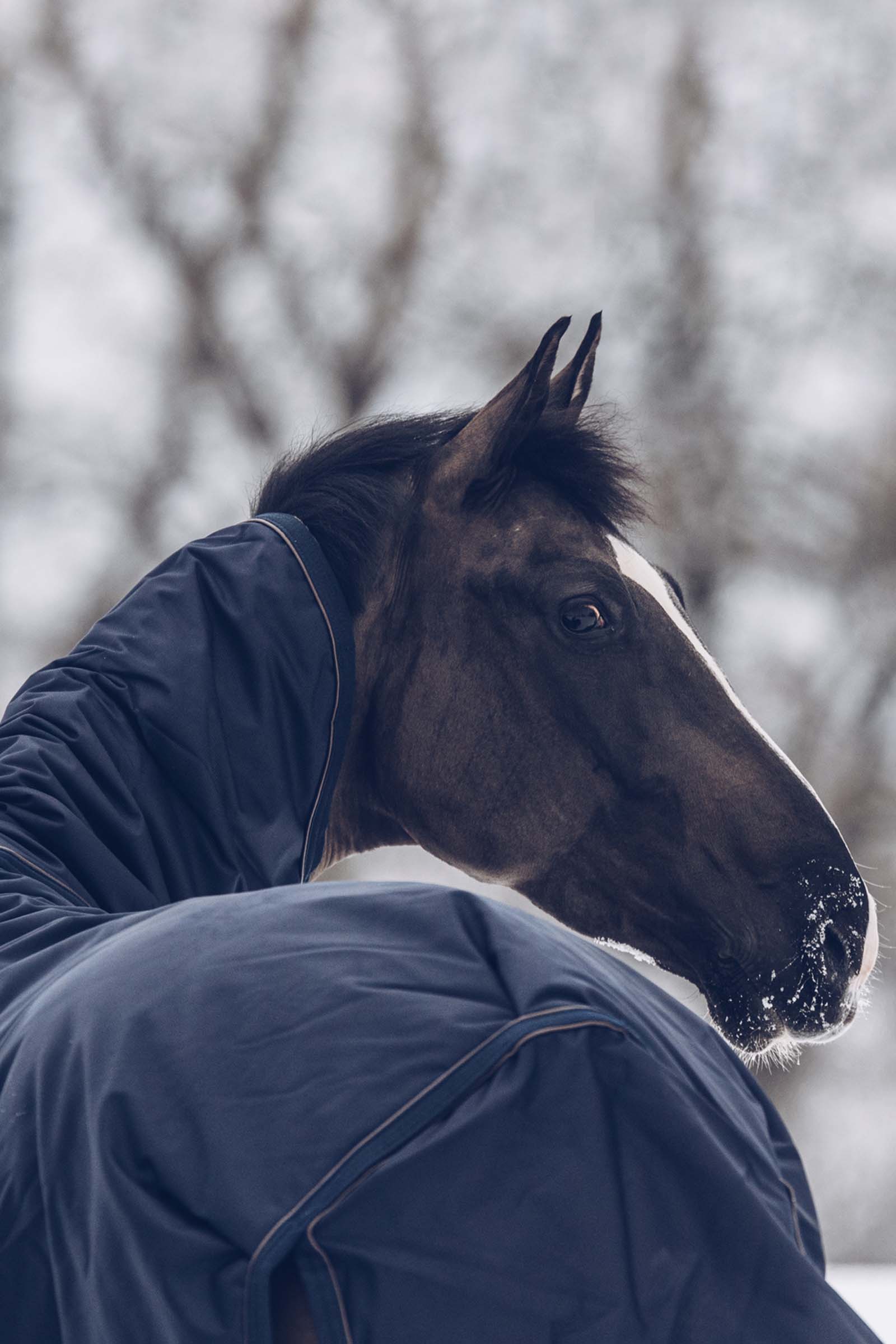 Kentucky Horsewear All Weather Waterproof Classic ulkoloimi, 300 g