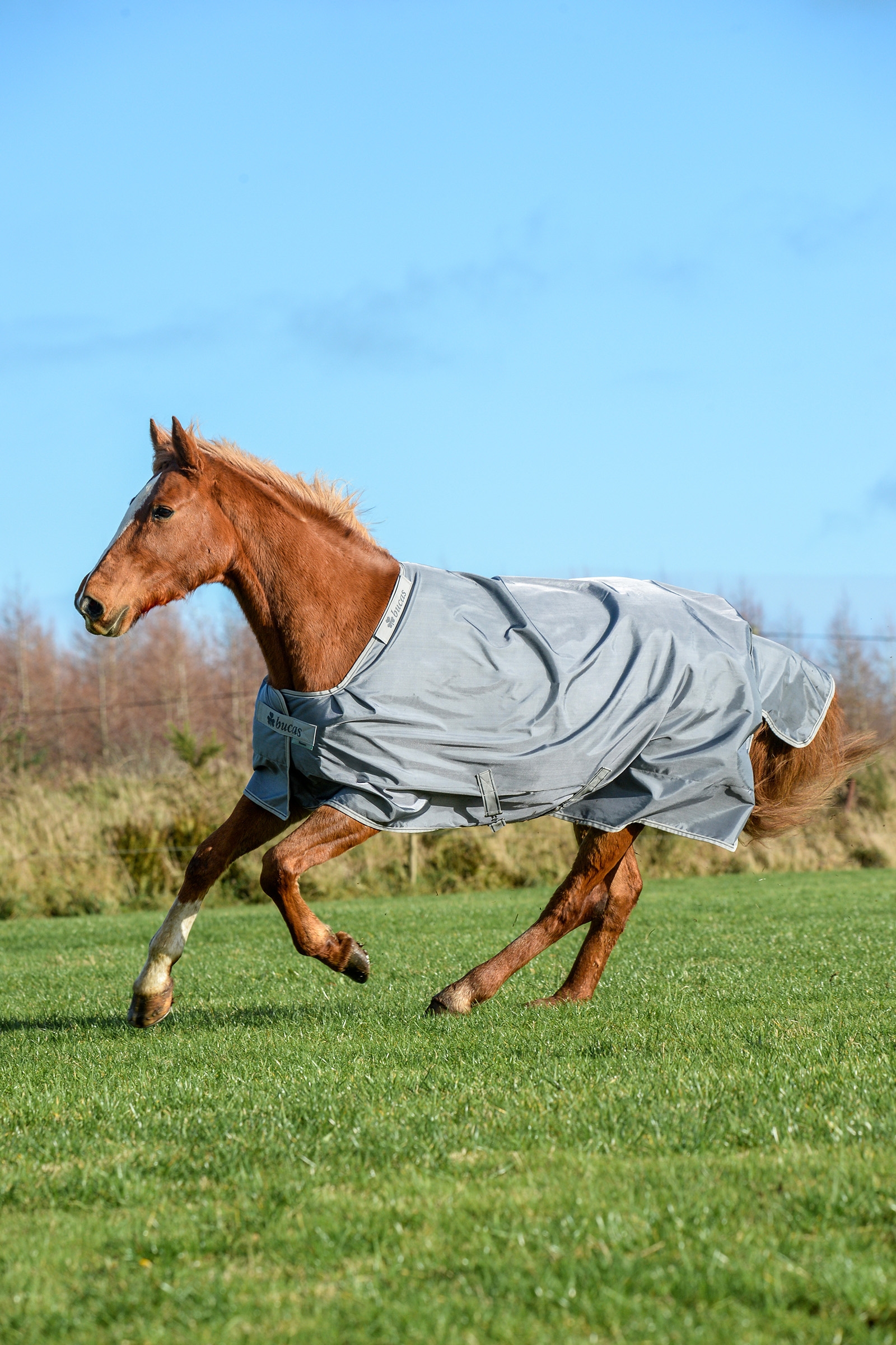 Iron Grey Bucas Smartex Extra -loimi, 300 g