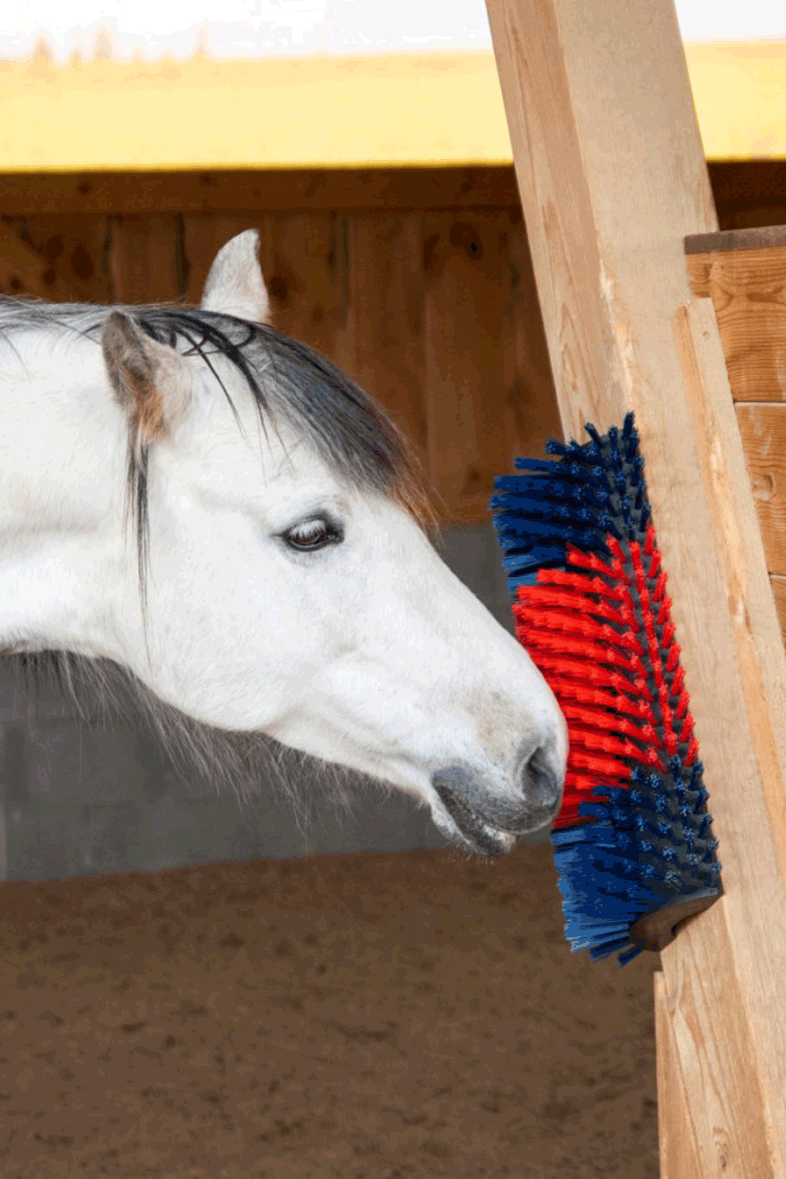 Kerbl XL raapimisharja, pyöreä