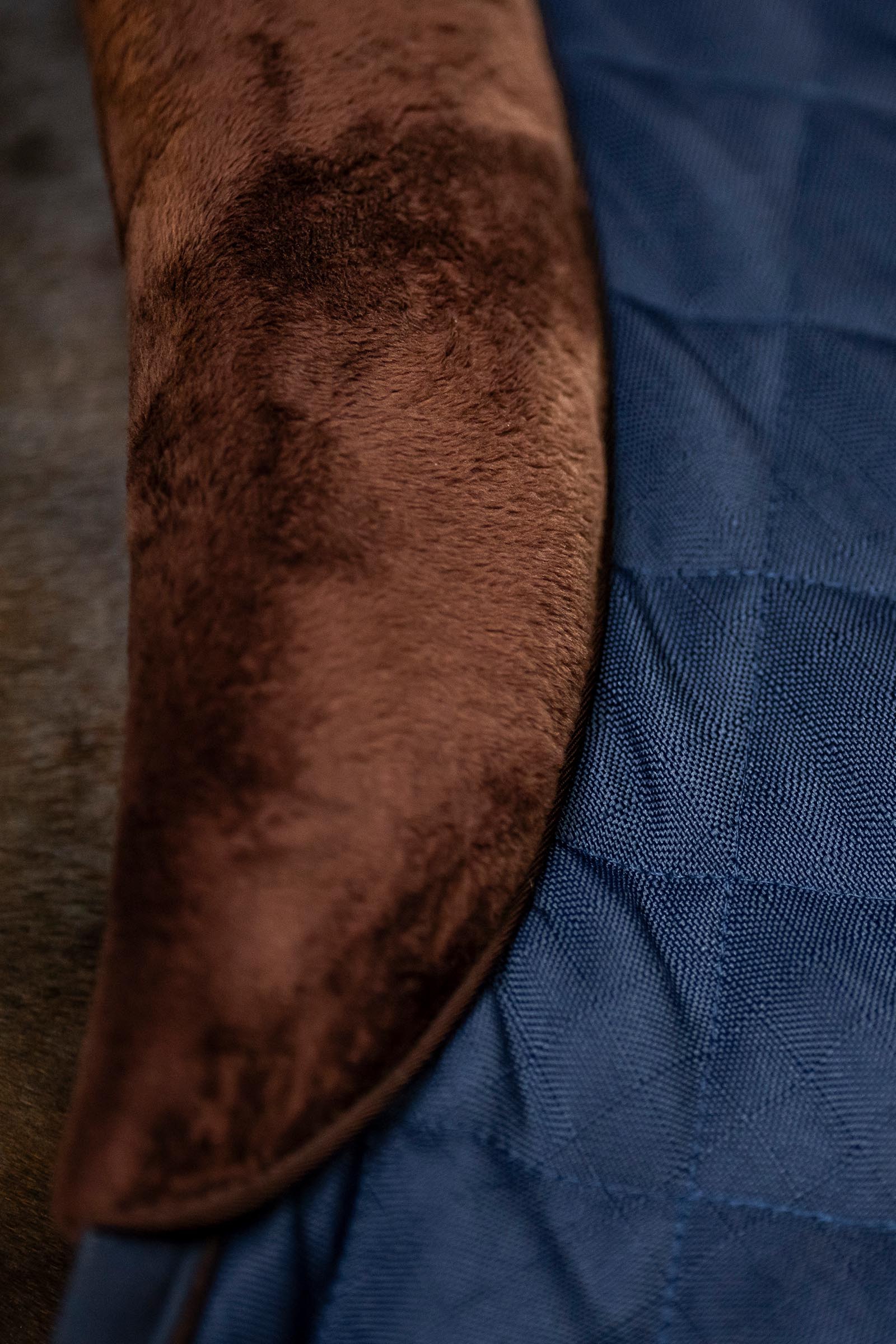 Horseware Signature talliloimi, 200 g