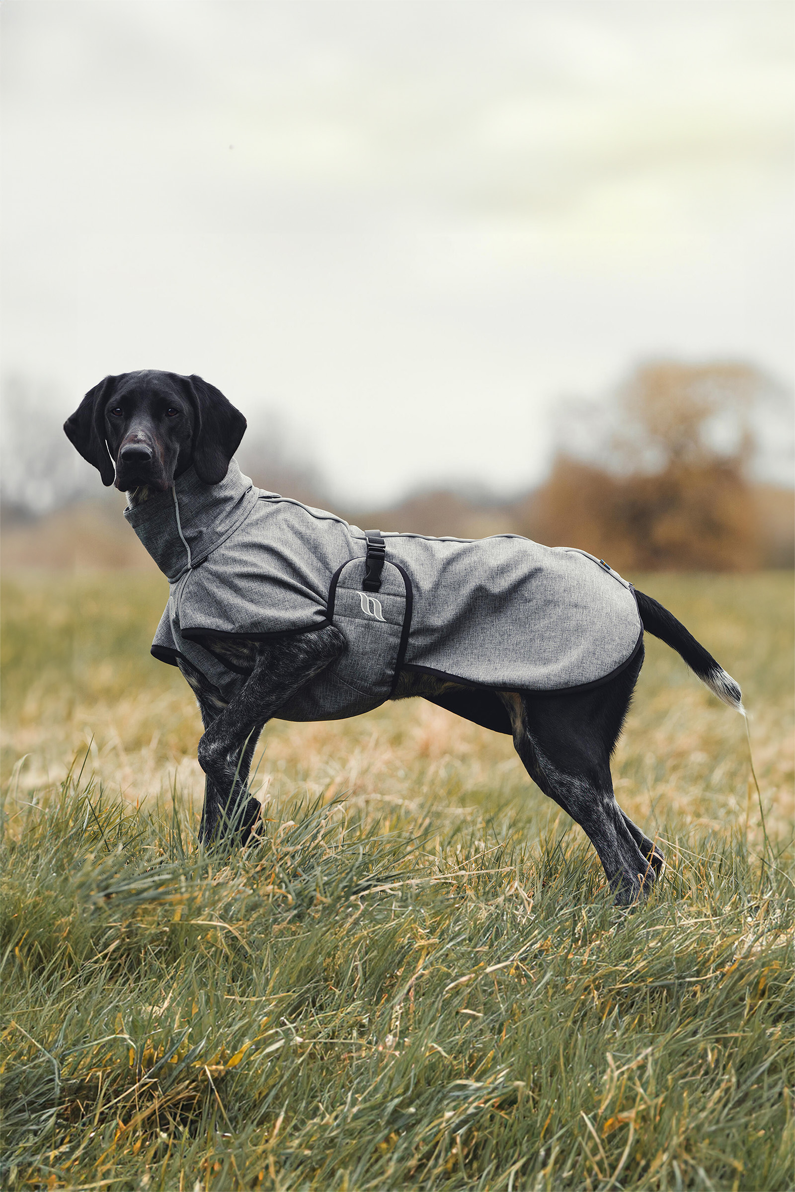 Back on Track Bark All-Round Dog Coat, 55-65cm