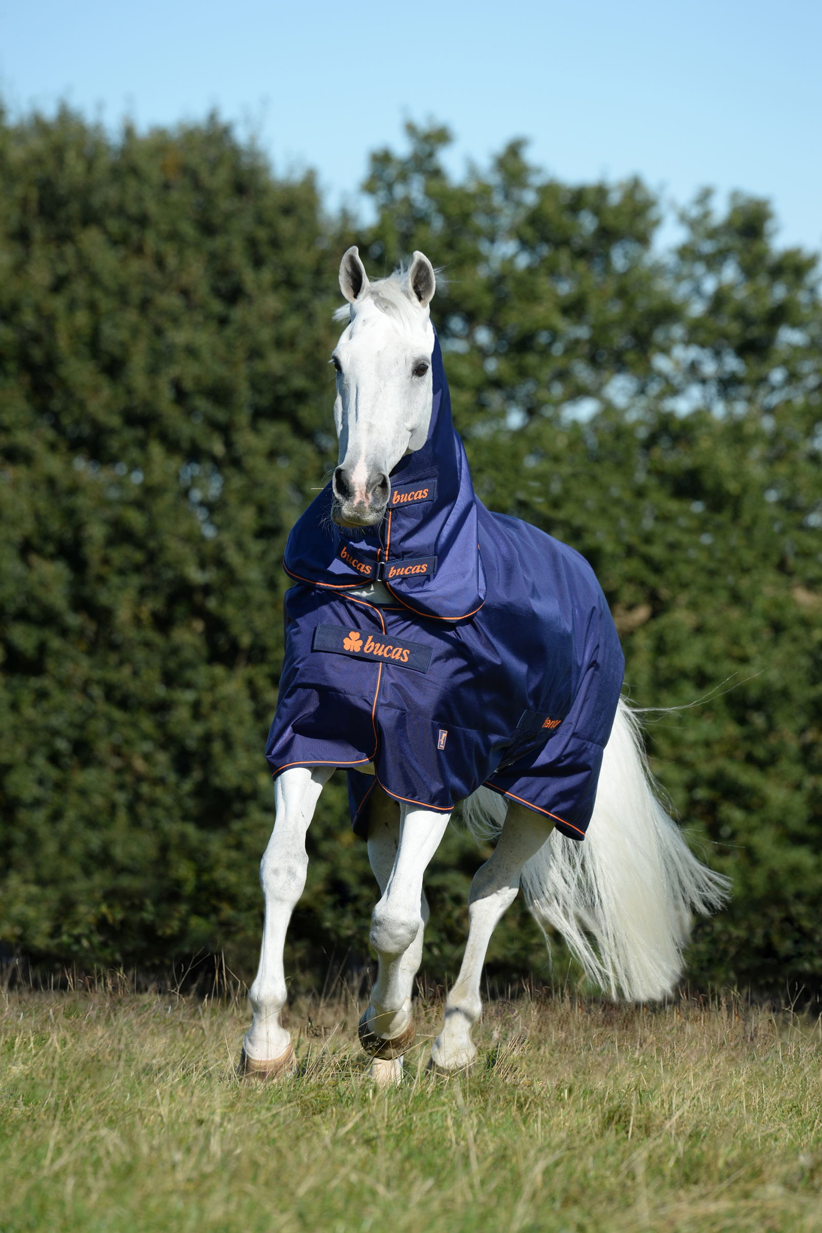 Bucas Therapy kaulakappale