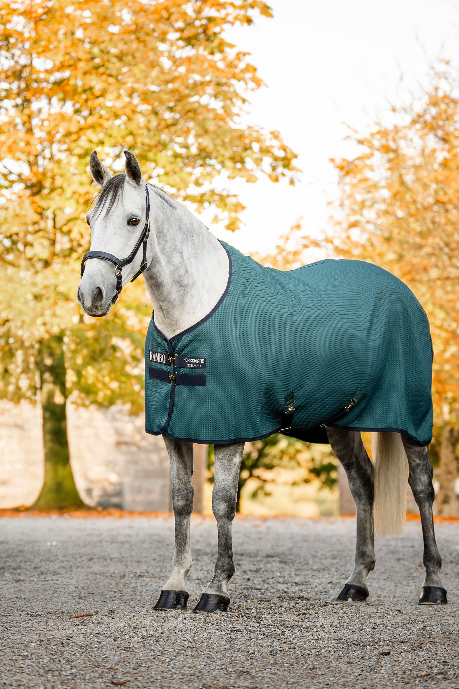 Horseware Rambo Techni Waffle viilennysloimi