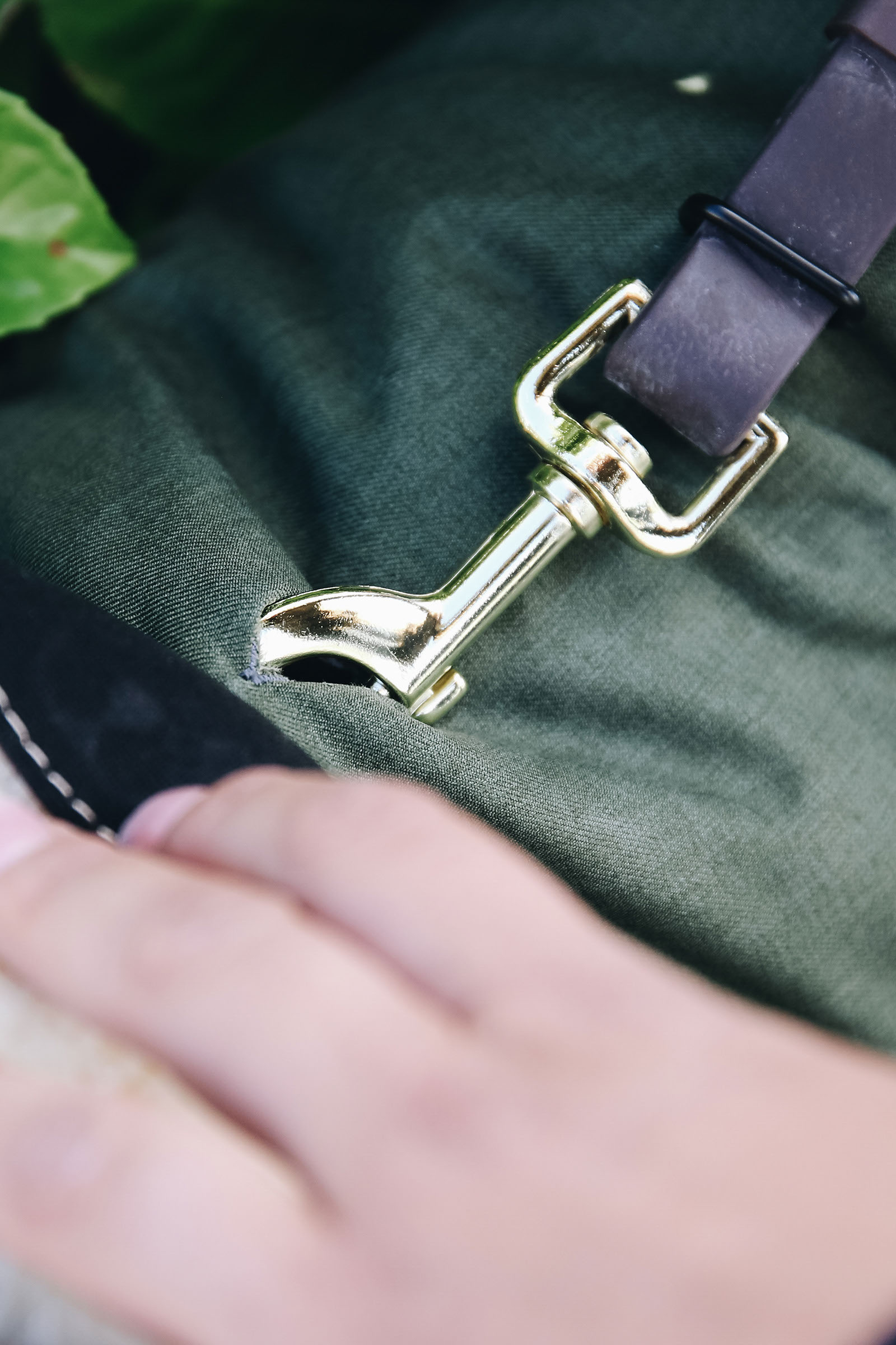 Kentucky Dogwear vedenpit&auml;v&auml; koiranloimi