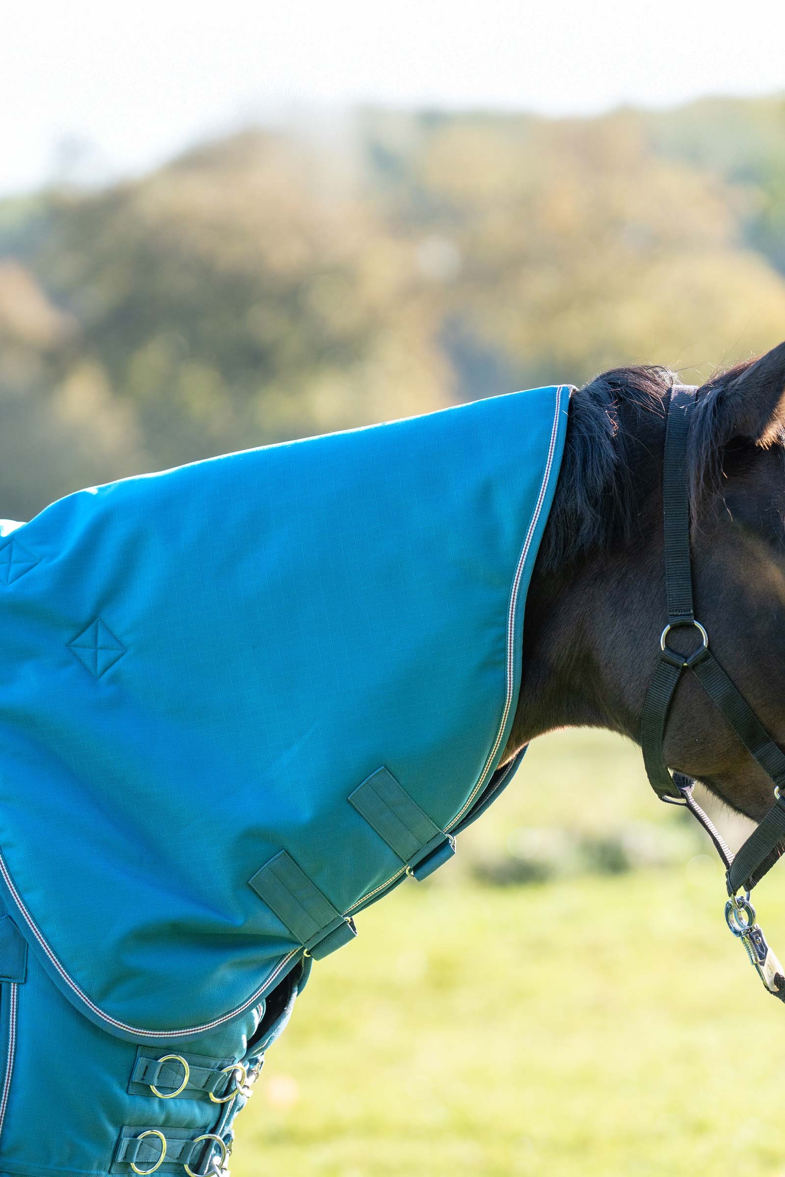 Petrol/Petrol-Bordeaux-White Kavalkade kaulakappale Alaska IV loimeen, 100 g