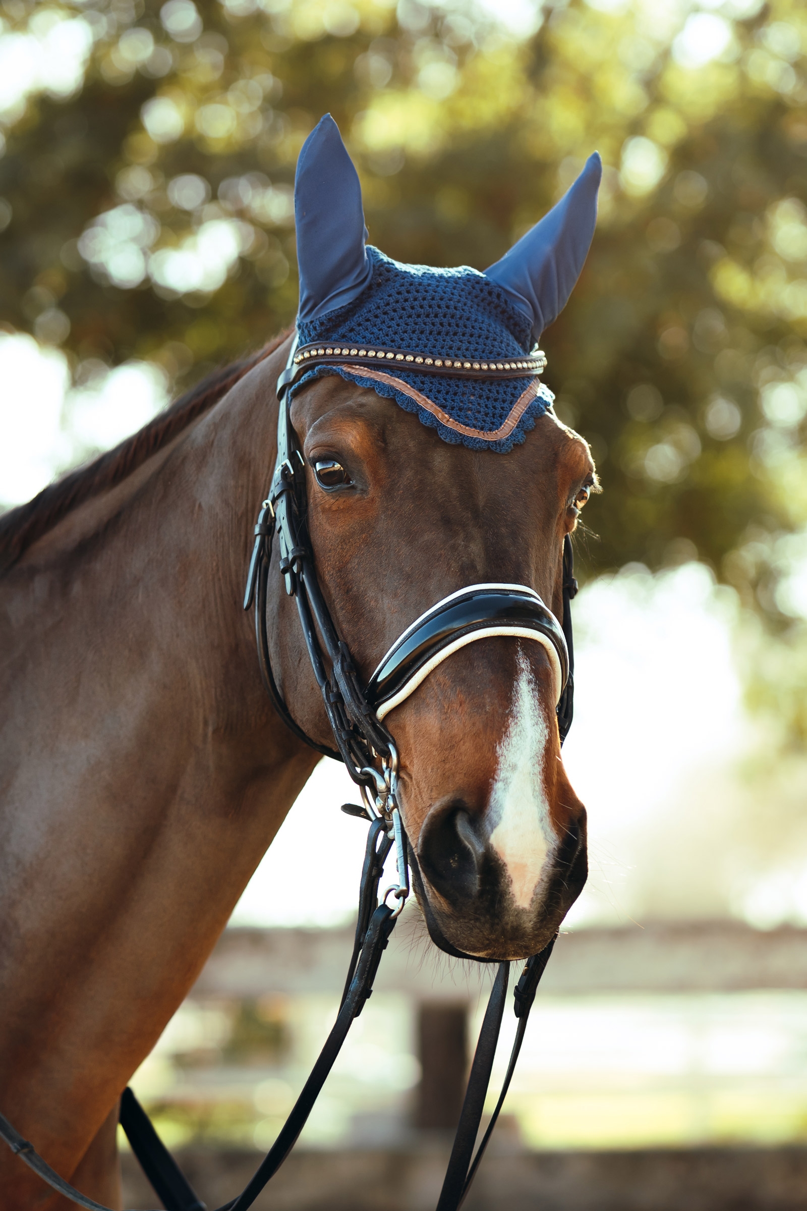 Horze Munich korvahuppu metallinvärisillä yksityiskohdilla