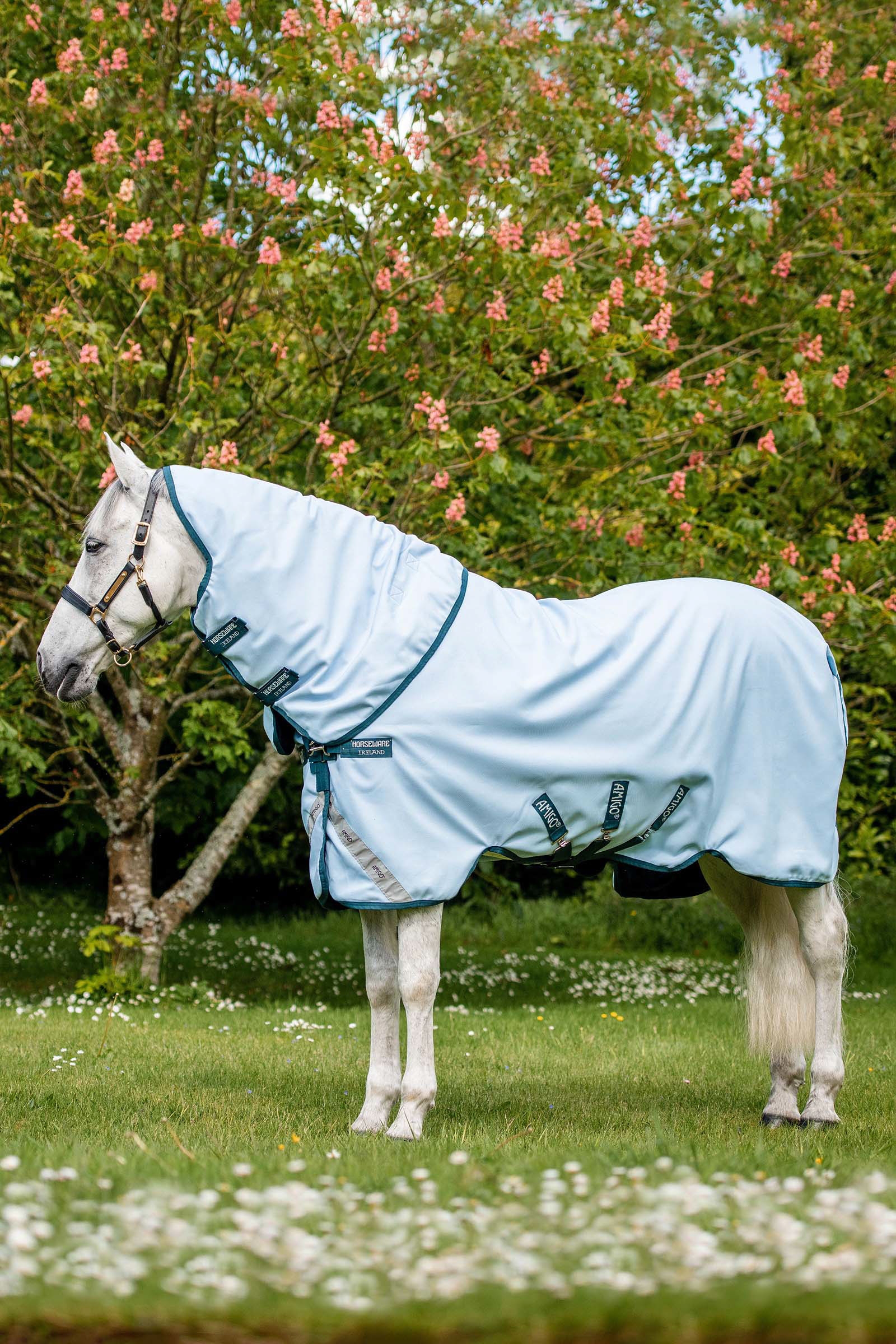 Horseware Amigo Plant Dye ulkoloimi, 50 g