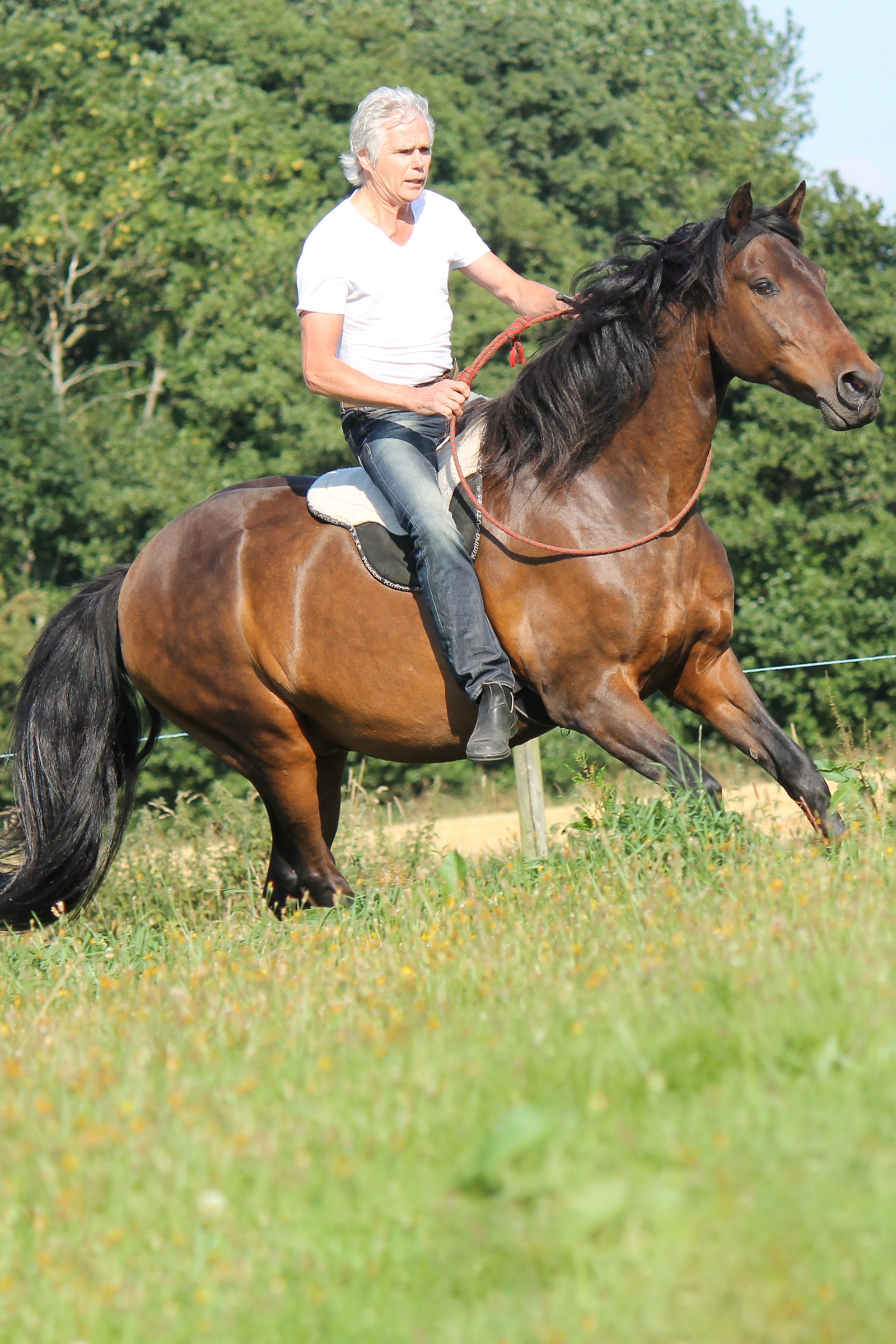 F.R.A. Freedom Riding Articles Free bareback ratsastushuopa, Full