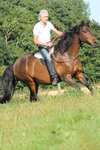 F.R.A. Freedom Riding Articles Free bareback ratsastushuopa, Full