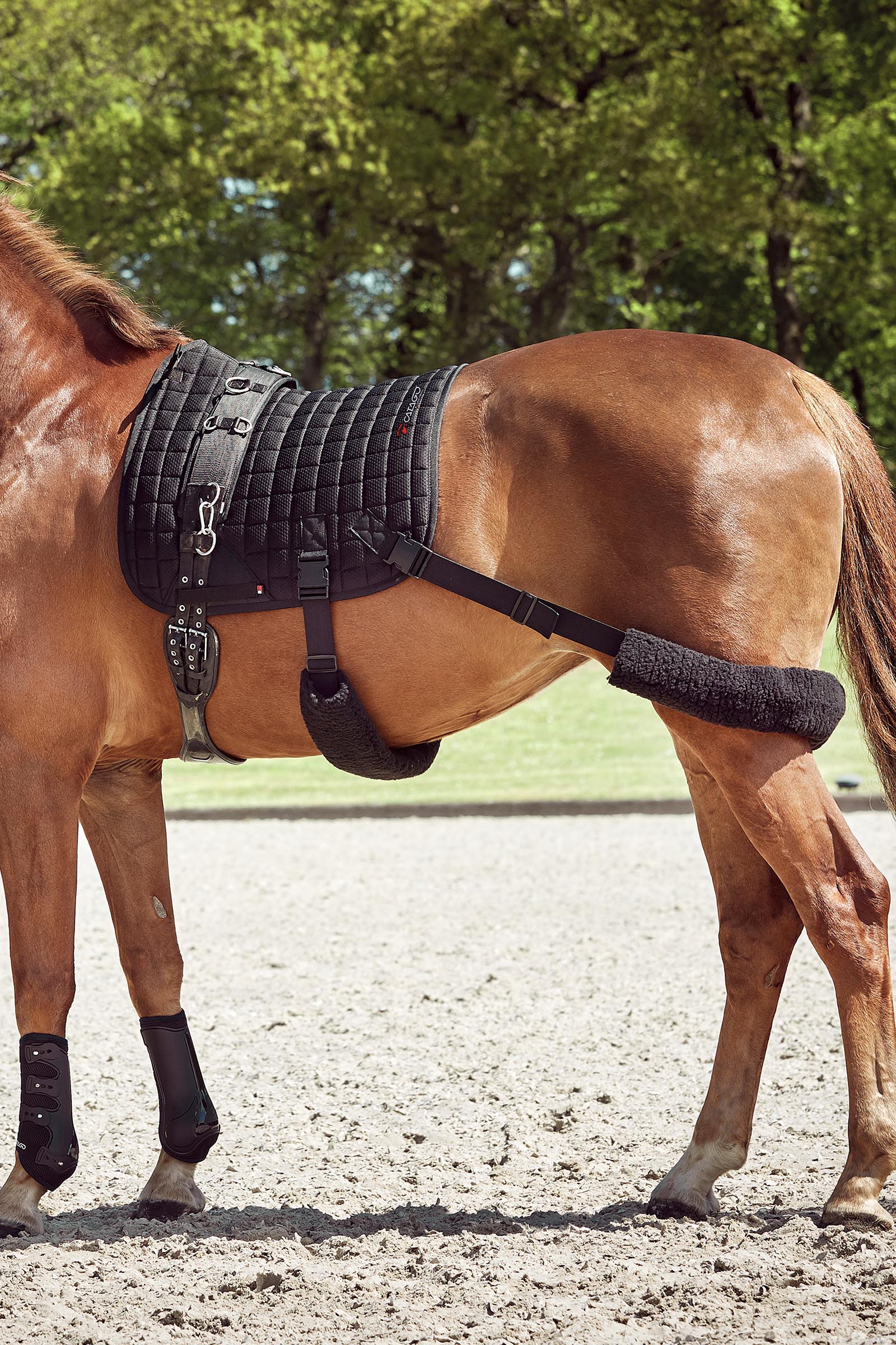 Catago FIR-Tech treenisatulahuopa joustavilla hihnoilla