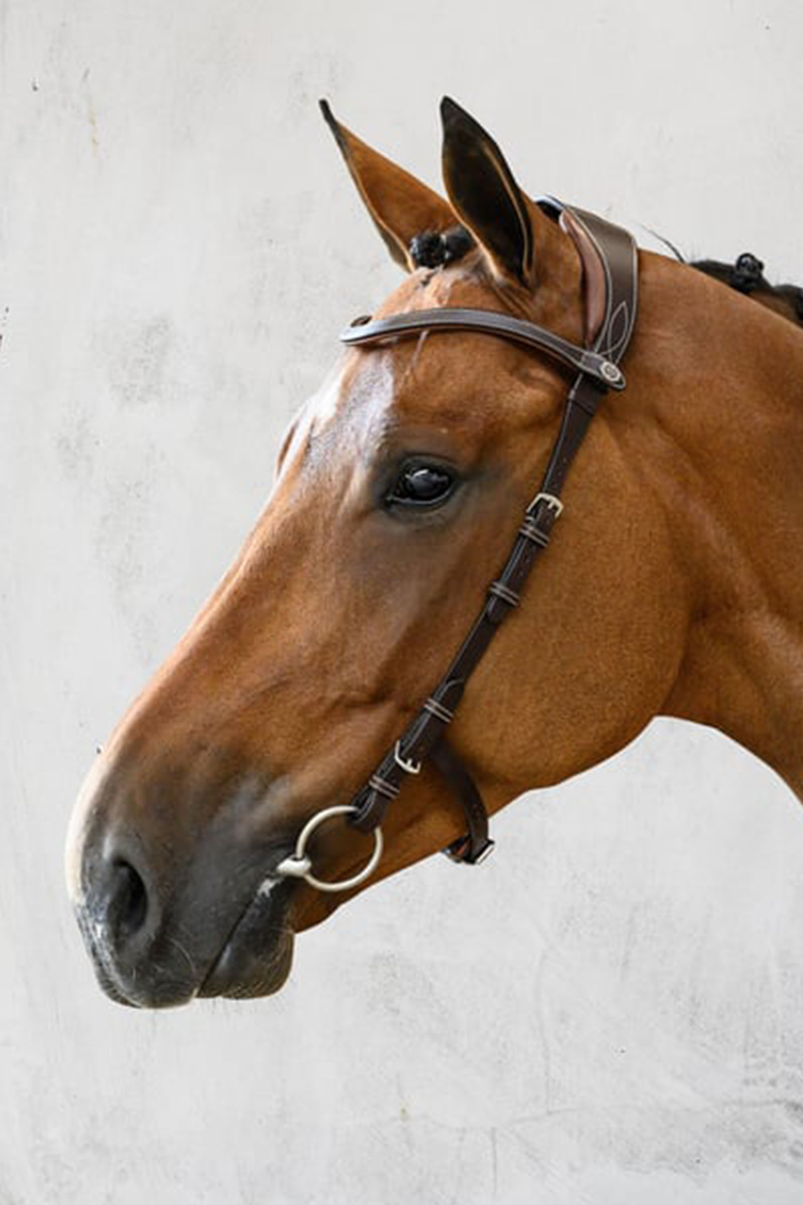 PS of Sweden Helsinki suitset