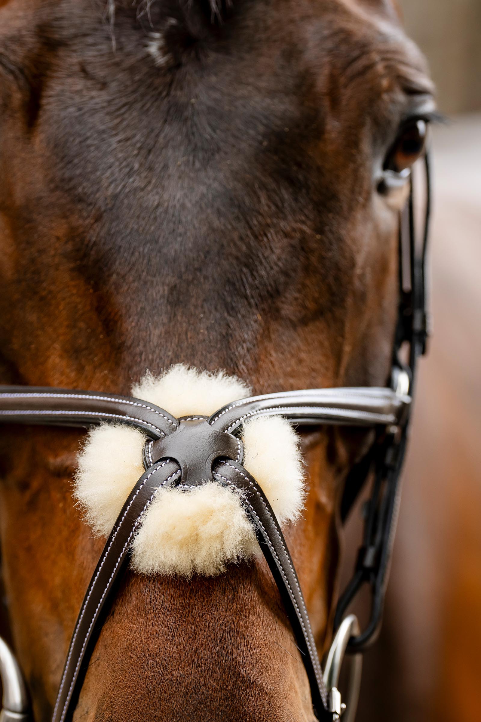 Horseware suitset kahdeksikkoturparemmill&auml;