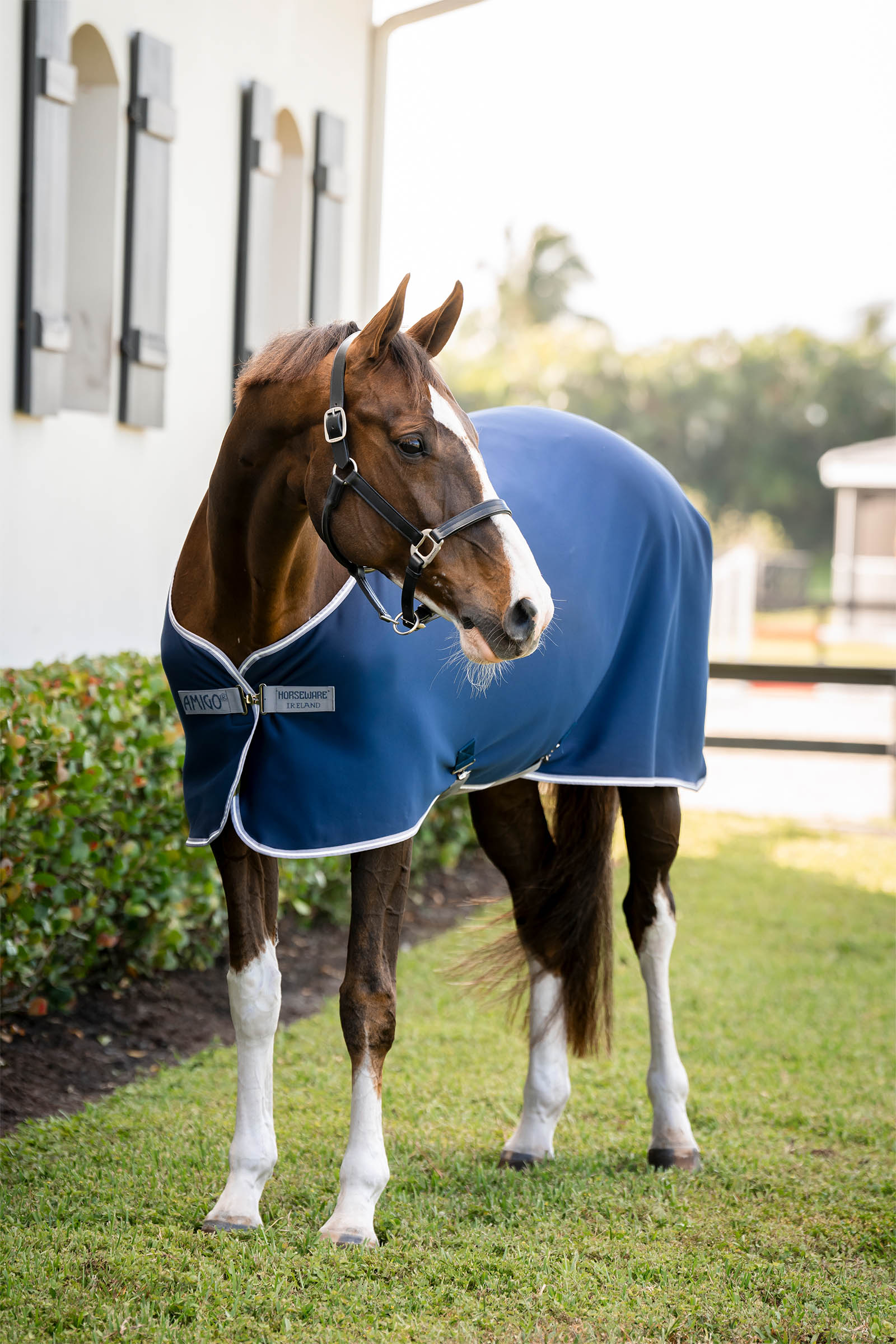 Horseware Amigo Jersey cooler-loimi