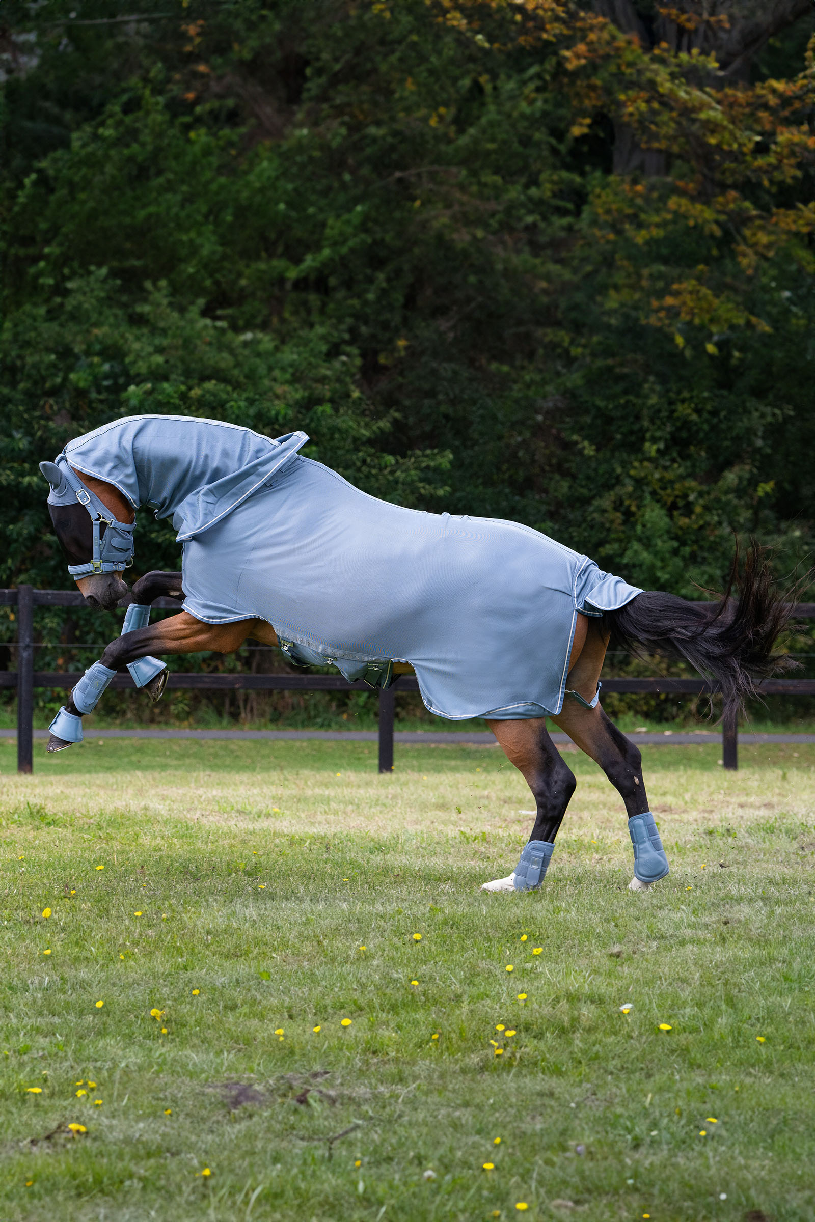 Eskadron Classic Sports SS25 Fly Detach-Neck hy&ouml;nteisloimi