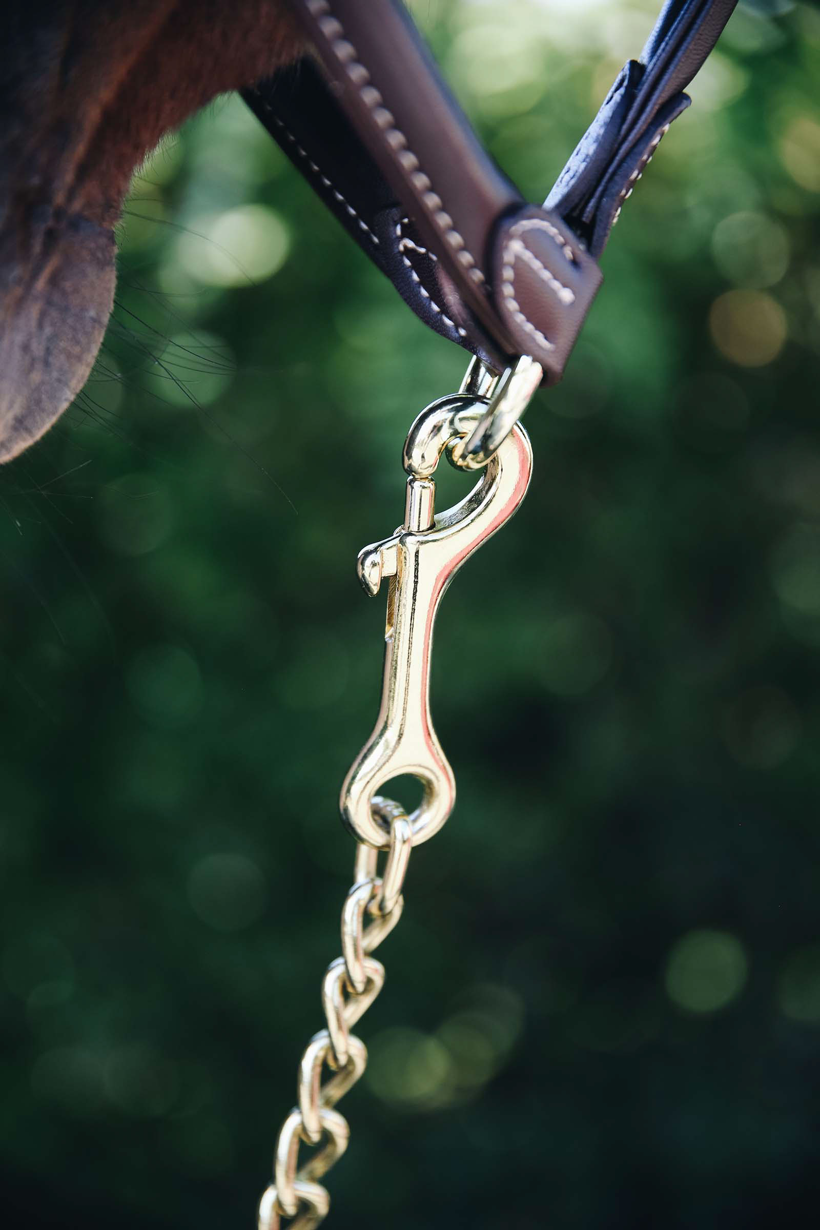 Kentucky Horsewear oriketju, 60 cm