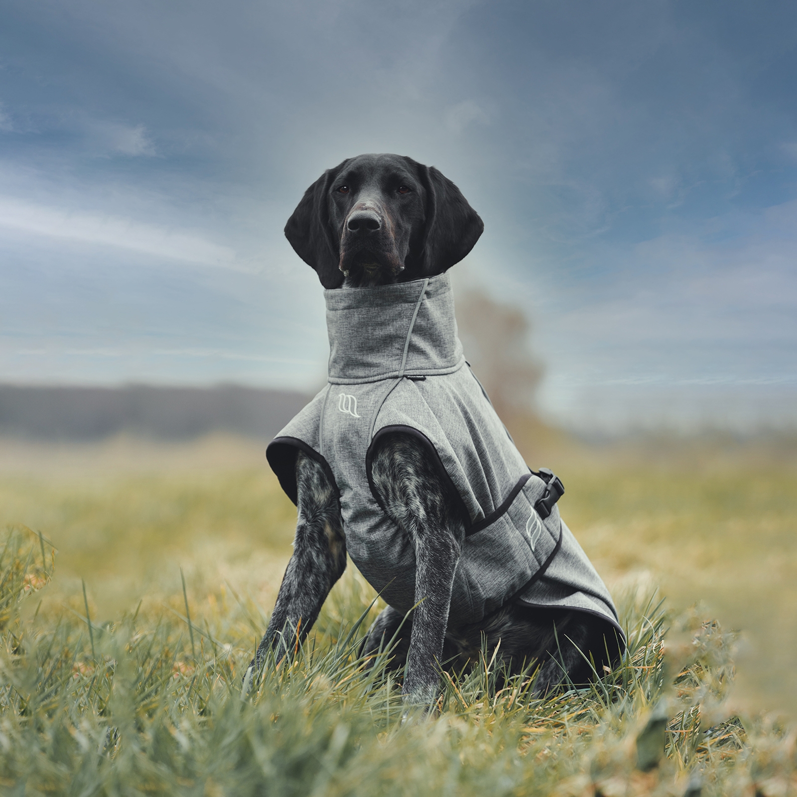 Back on Track Bark koiran jokasääntakki, 25-35 cm