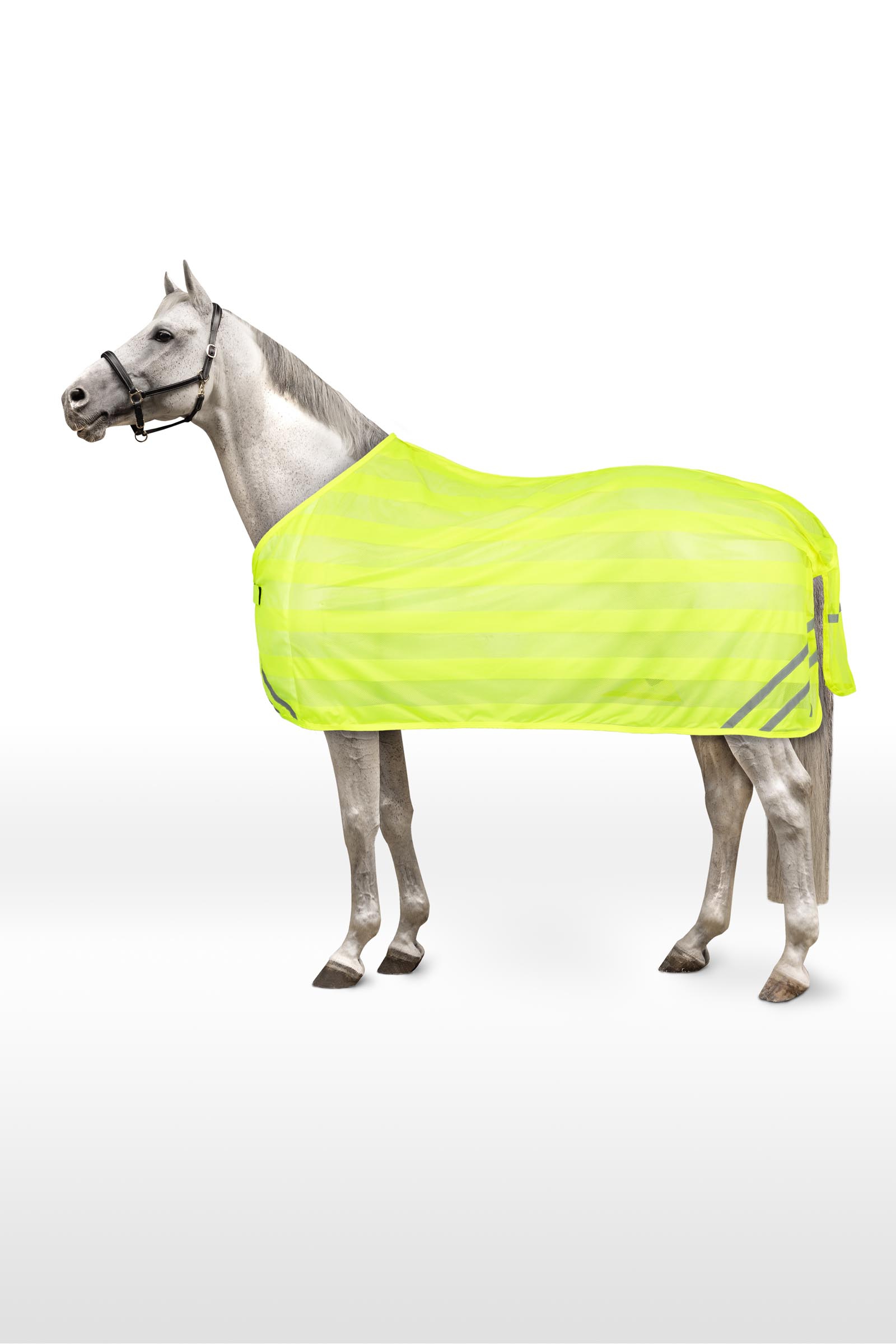 Horze heijastava verkkoloimi