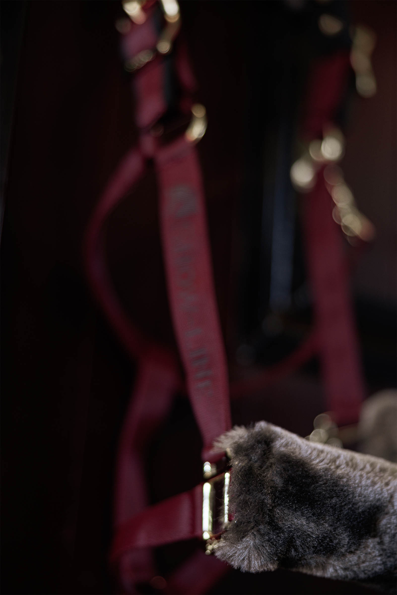 Bucas Show-Line Haltija