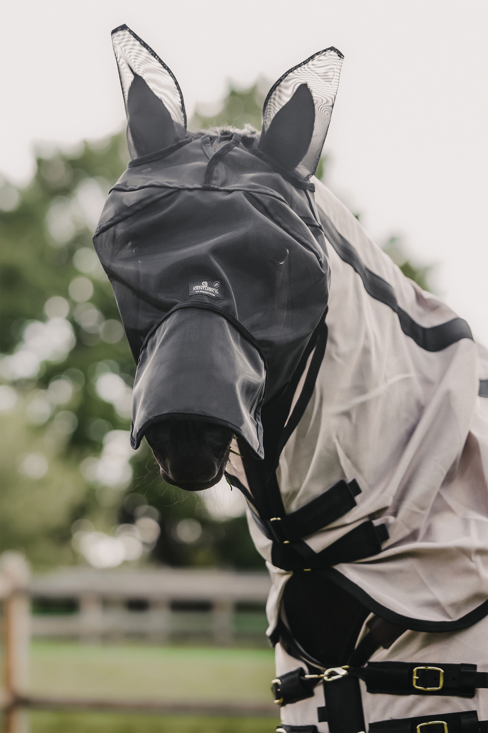 Black Kentucky Horsewear Classic k&auml;rp&auml;smaski korvilla ja turpasuojalla