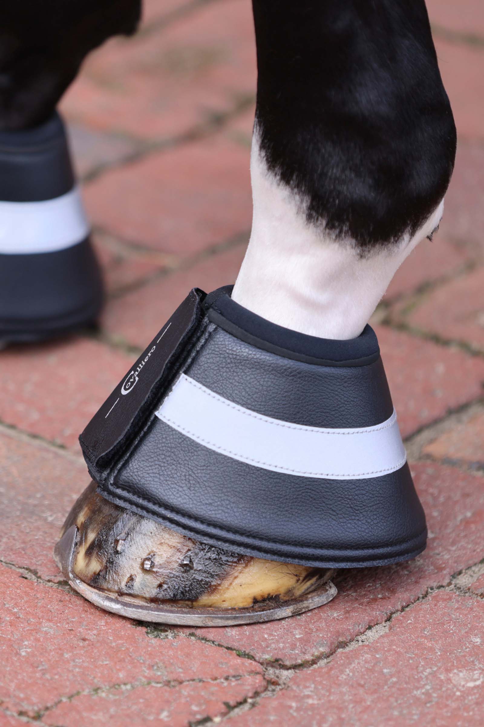 Covalliero Reflective putsit