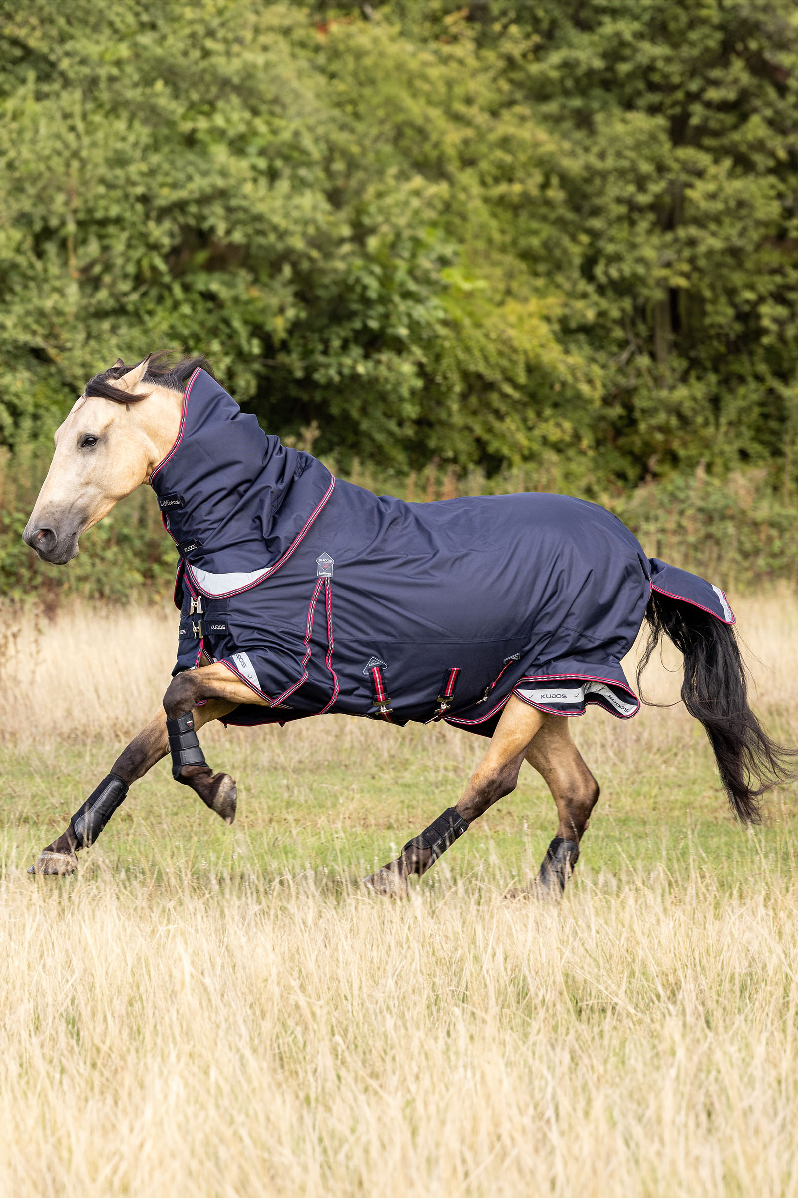 LeMieux Kudos kevyt ulkoloimi 100g