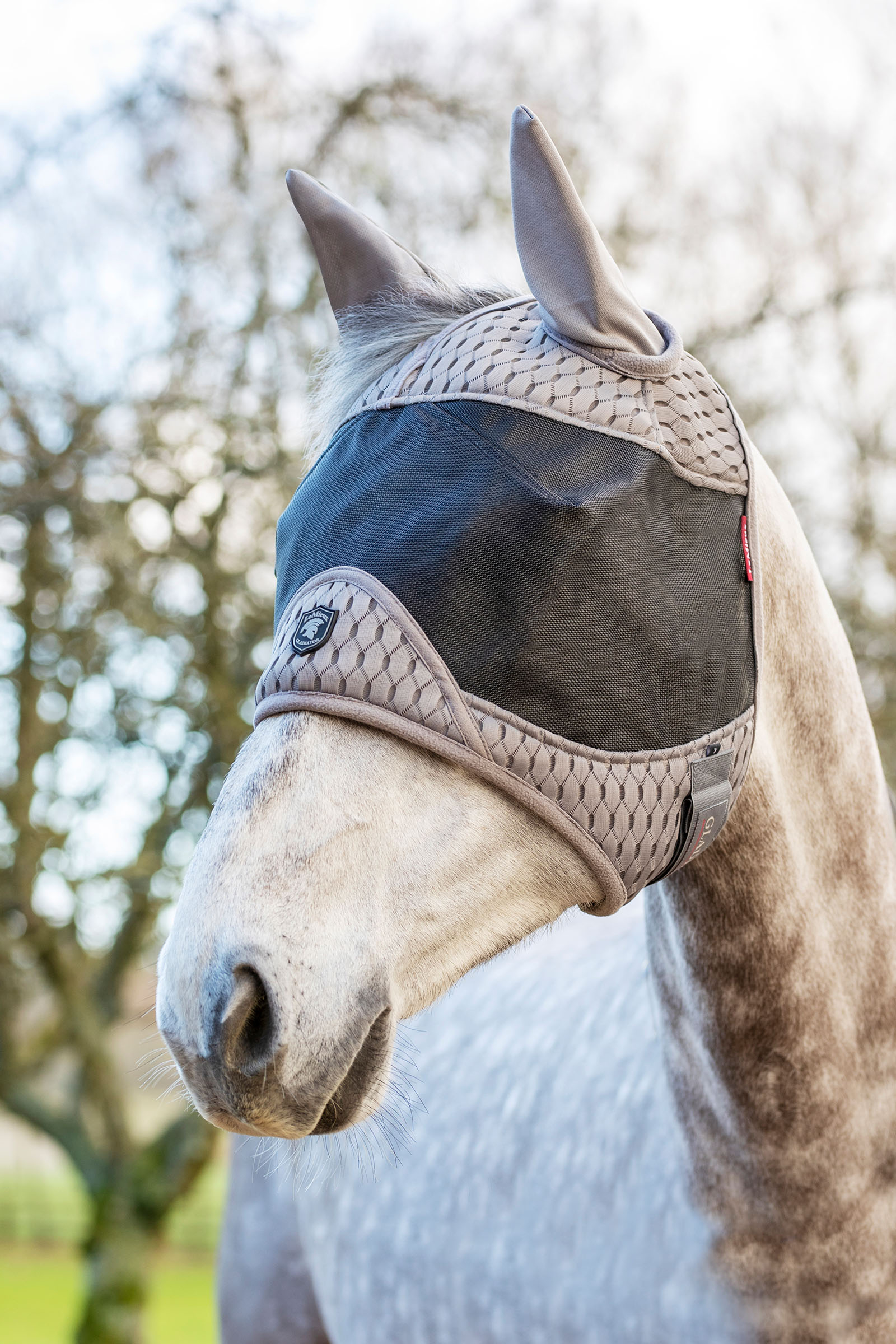 LeMieux Gladiator Half k&auml;rp&auml;smaski