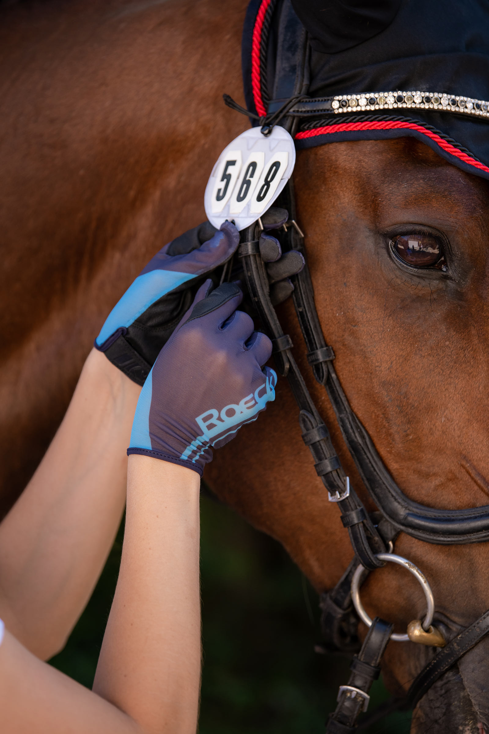 Roeckl Moyo kesäratsastushanskat  
