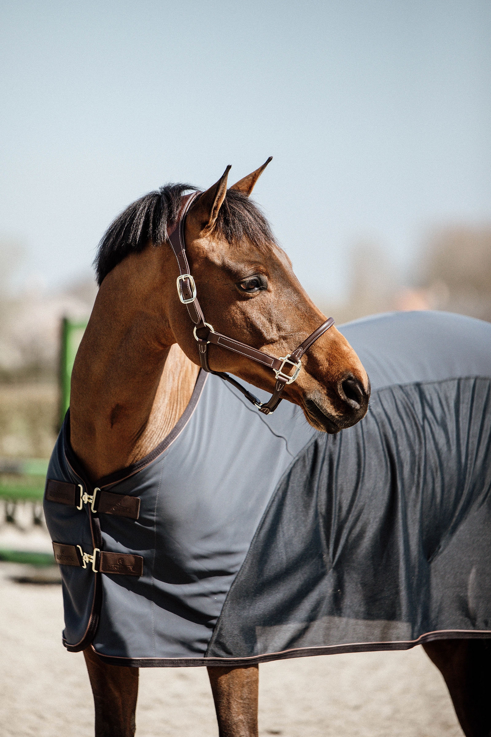 Softshell-loimi Kentucky Horsewear Cooler