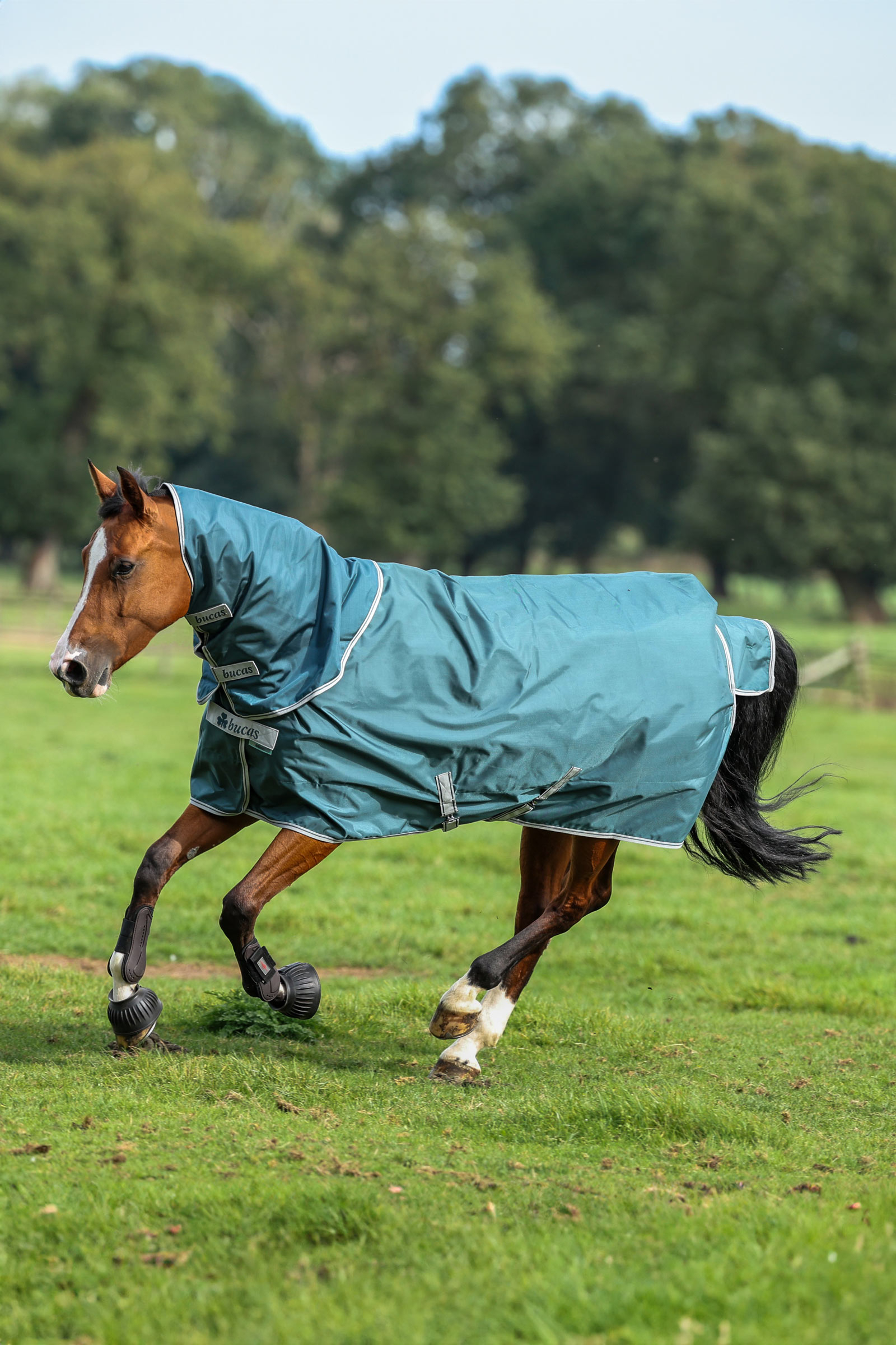 Bucas Atlantic Turnout kaulakappale, 50 g