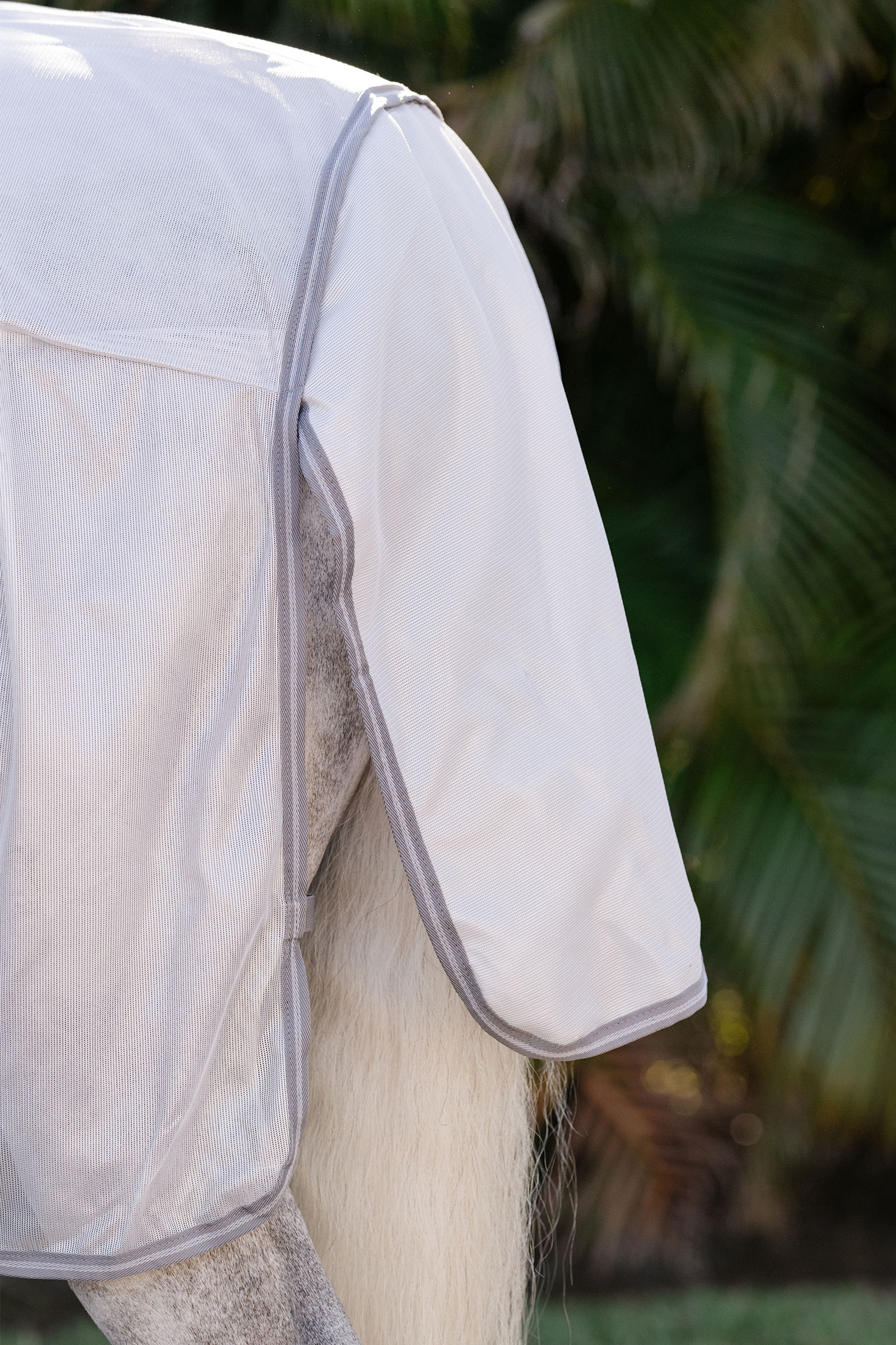 Horseware Amigo Yhdistetty Ötökkäloimi