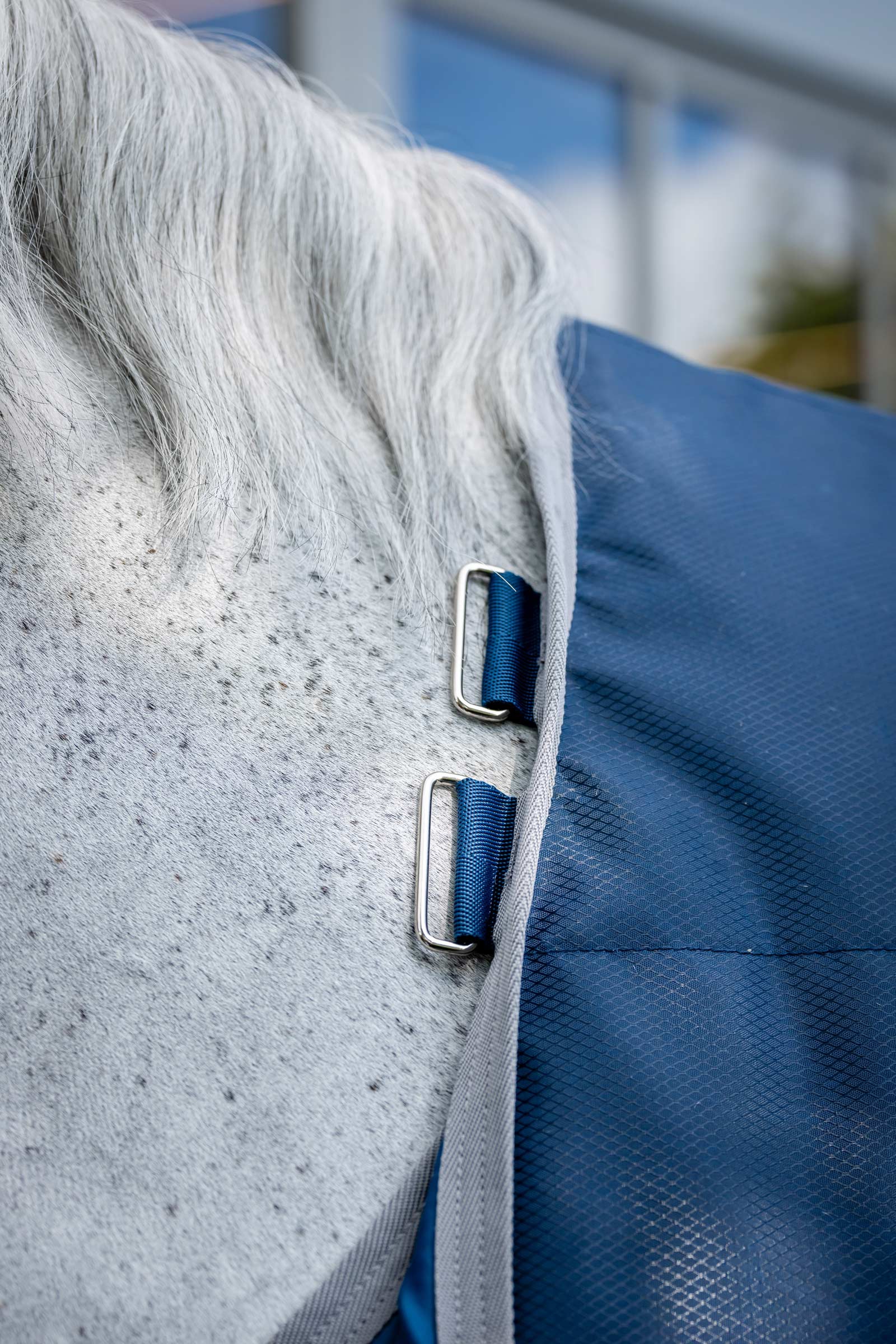 Horseware Ionic Therapy Talliloimi, 50g