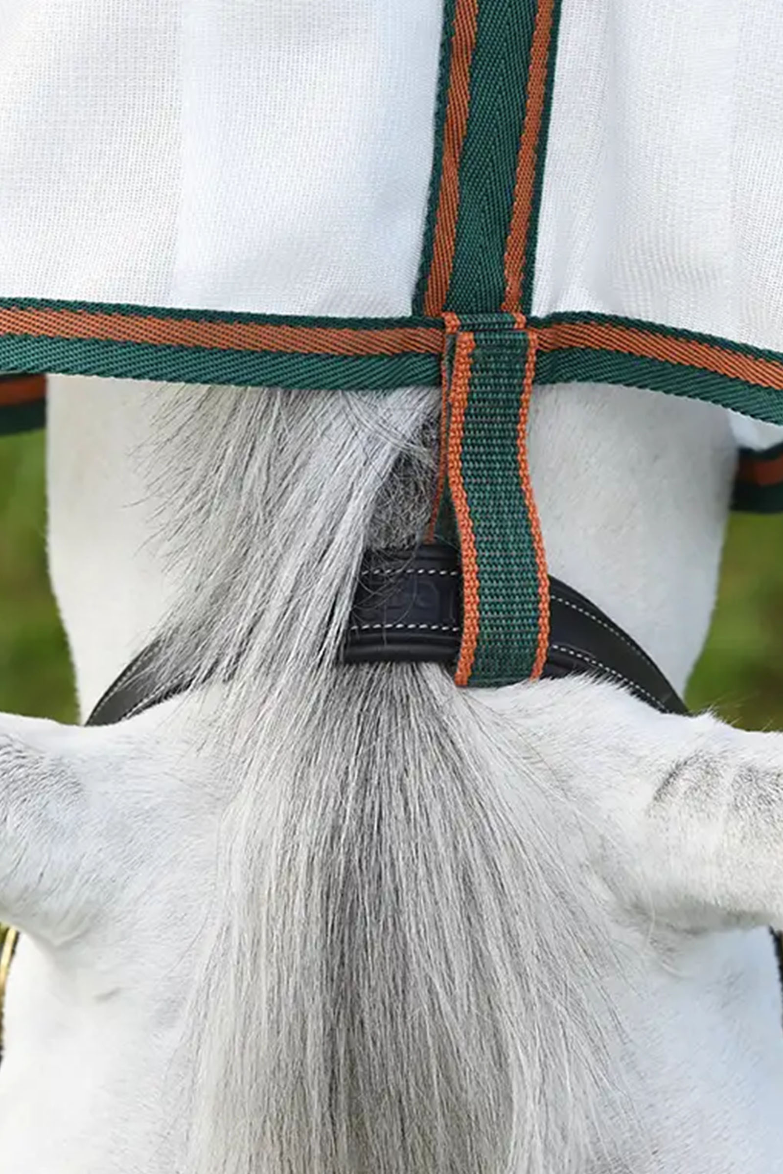 Weatherbeeta Comfitec Tyro verkkoloimi kaulakappaleella