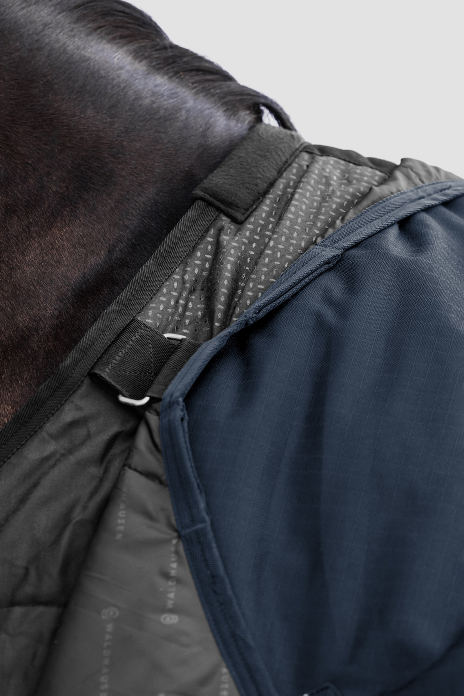 Waldhausen ulkoloimi Scandic 300 g