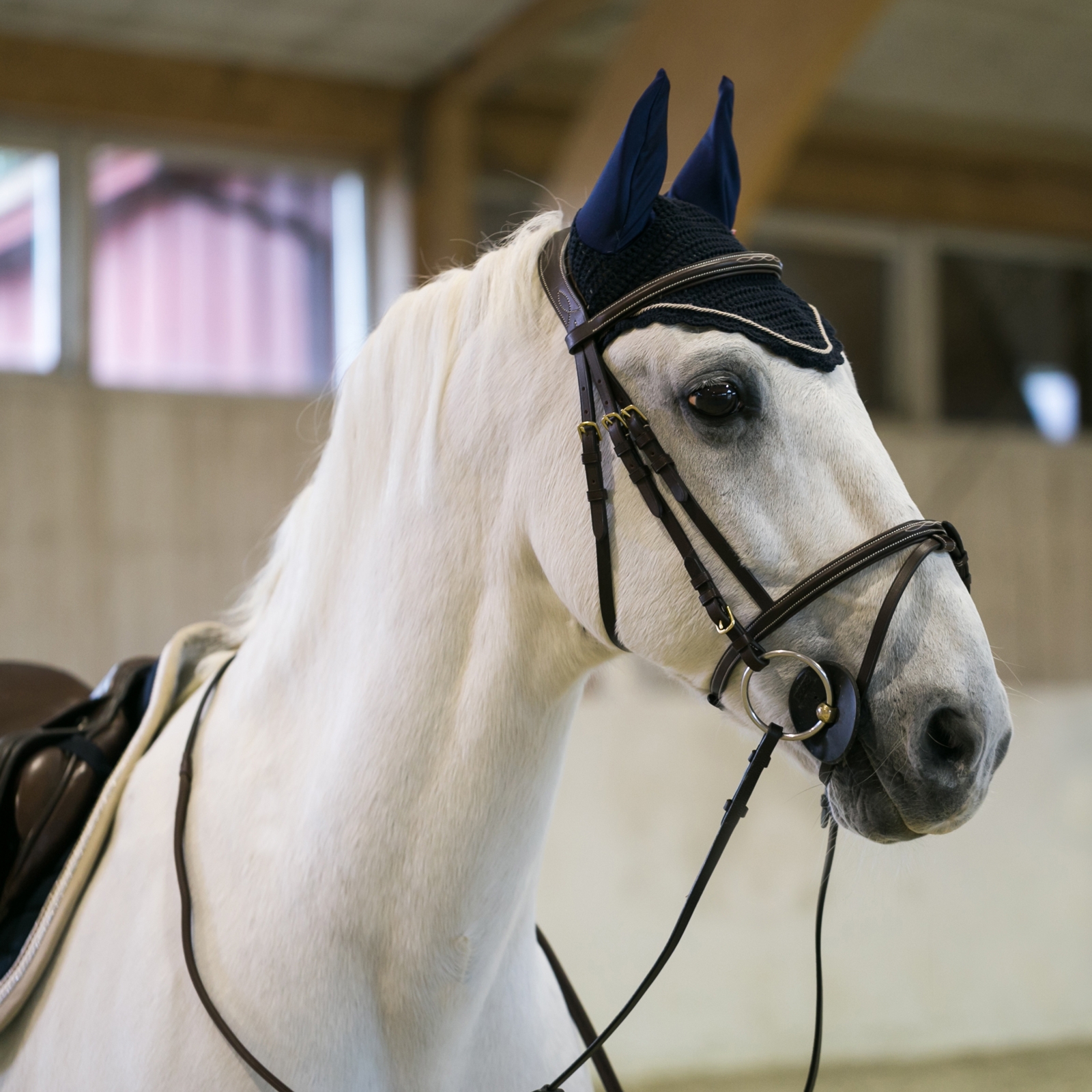 B Vertigo Sam korvahuppu