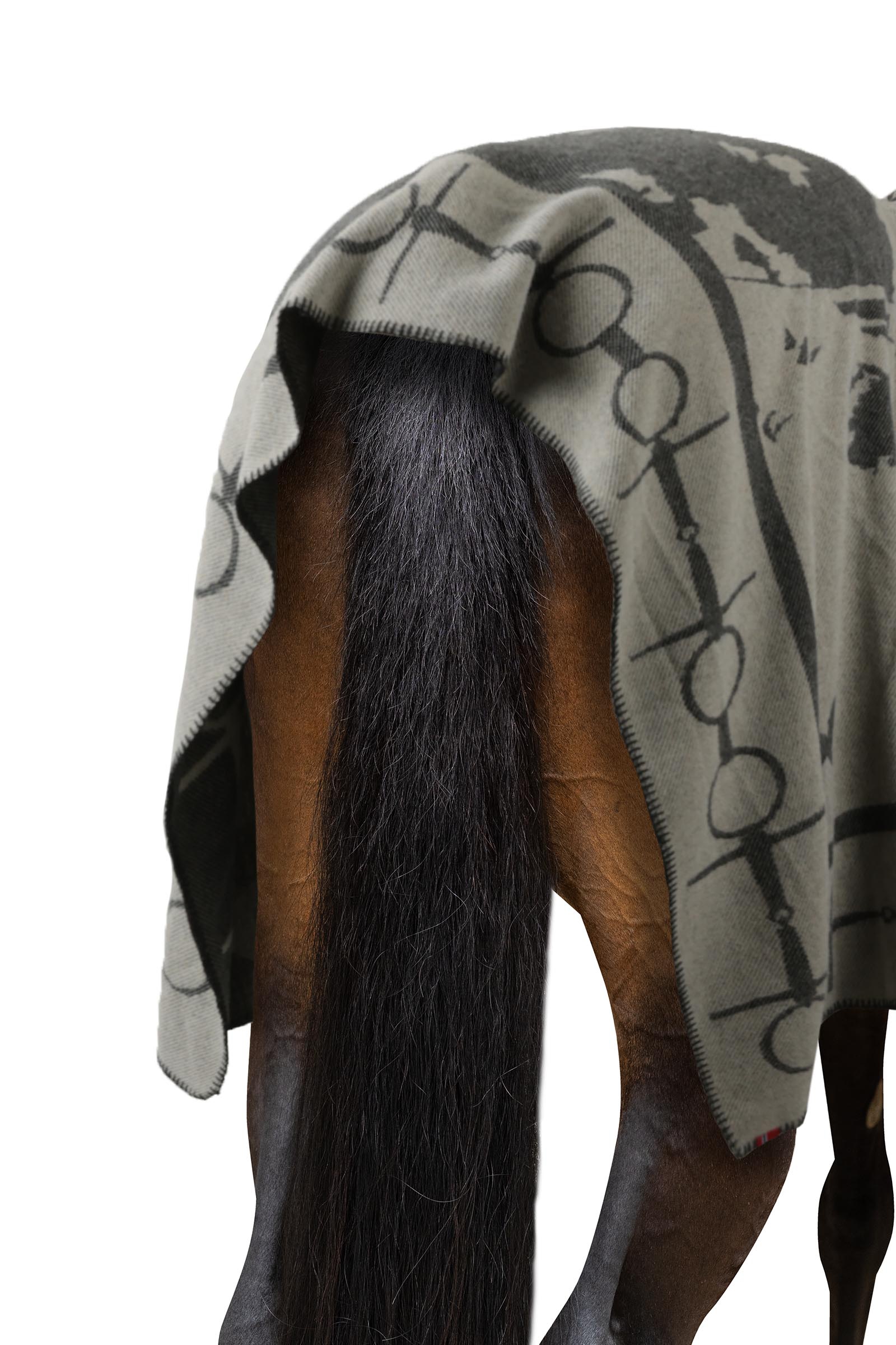 B Vertigo Horse & Bit viltti