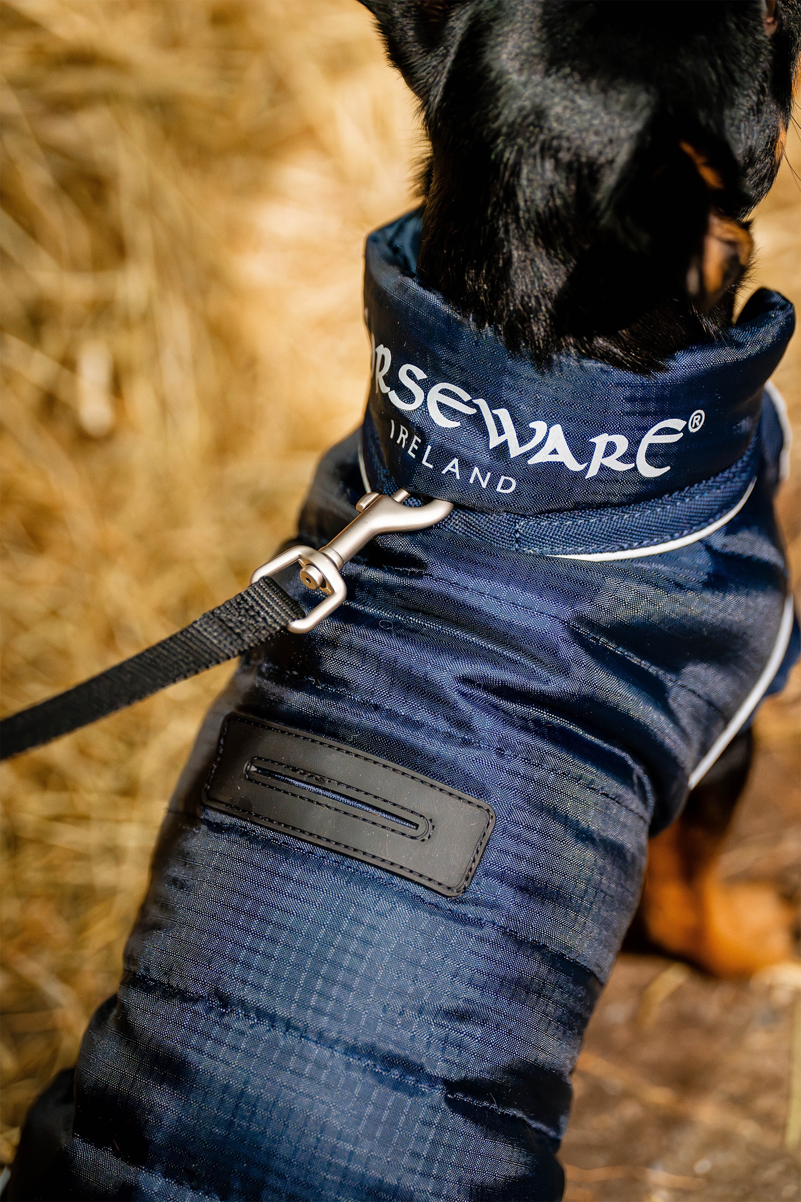 Horseware Signature Koiran Takki
